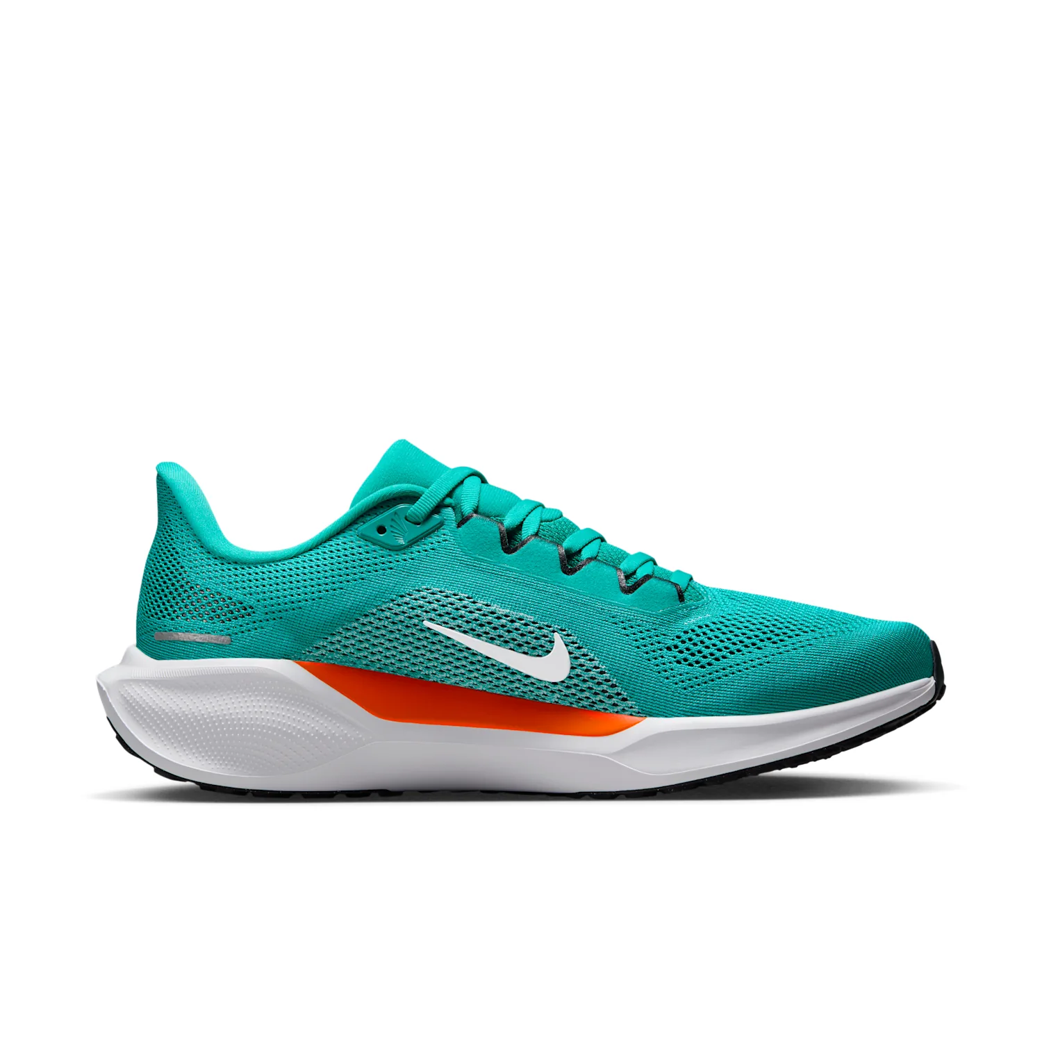 Miami Dolphins Pegasus 41 image 3