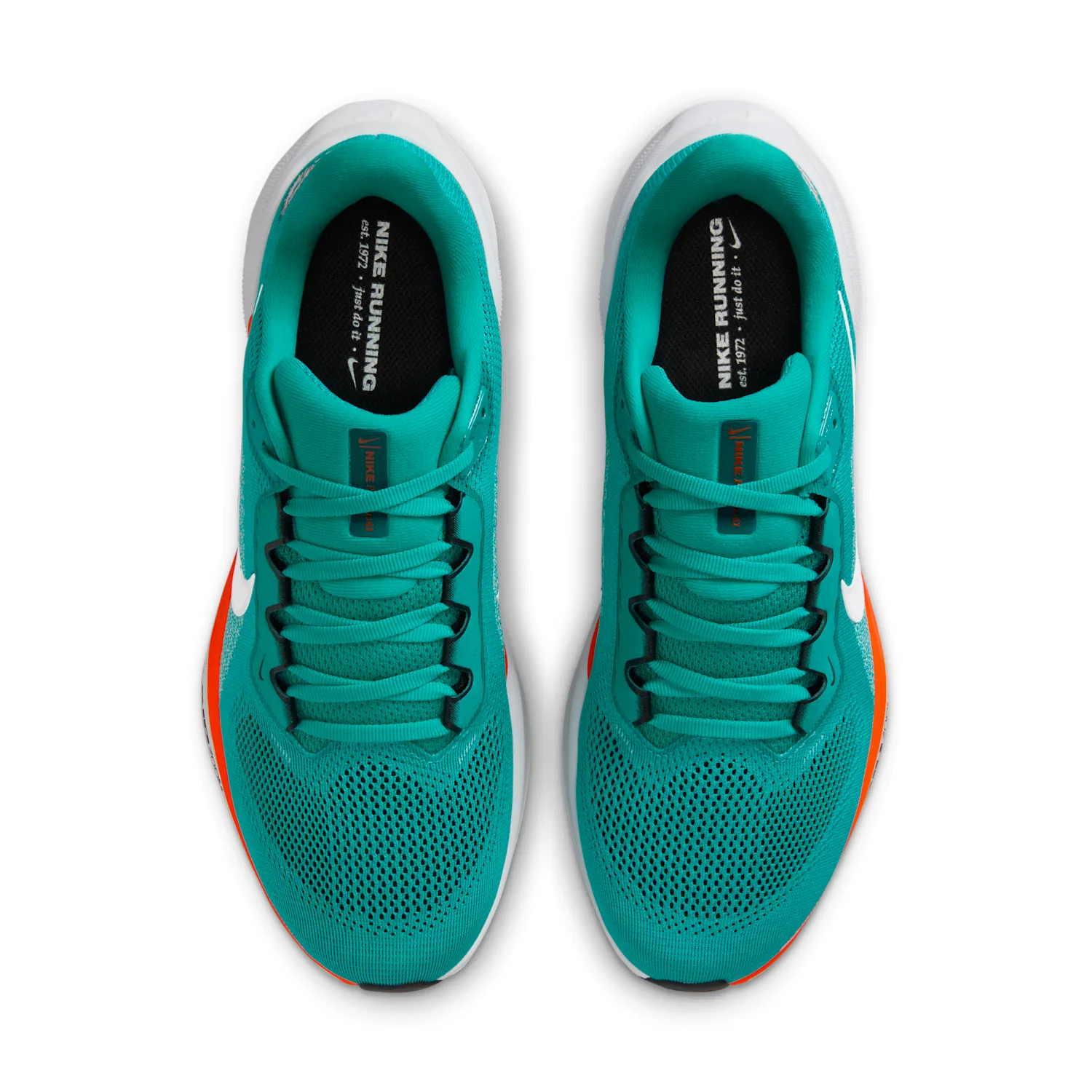 Miami Dolphins Pegasus 41 image 4