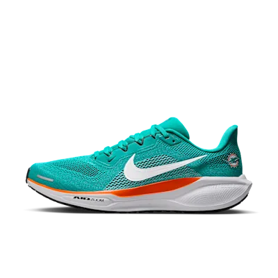 Miami Dolphins Pegasus 41