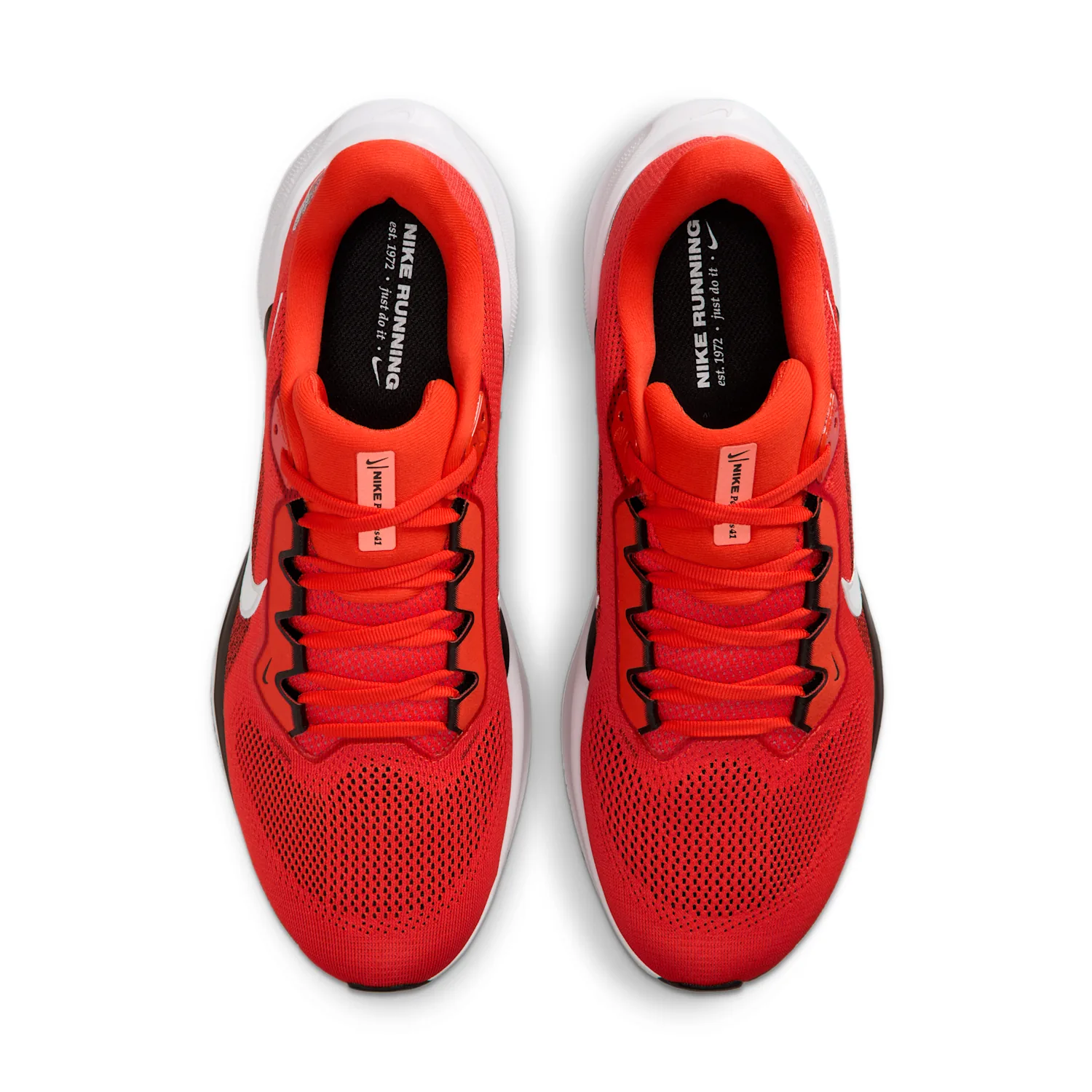 Cleveland Browns Pegasus 41 image 4