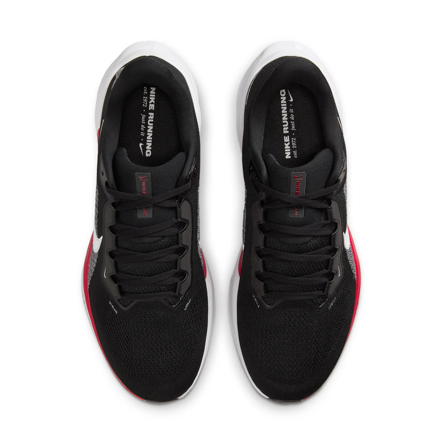 Atlanta Falcons Pegasus 41 image 4