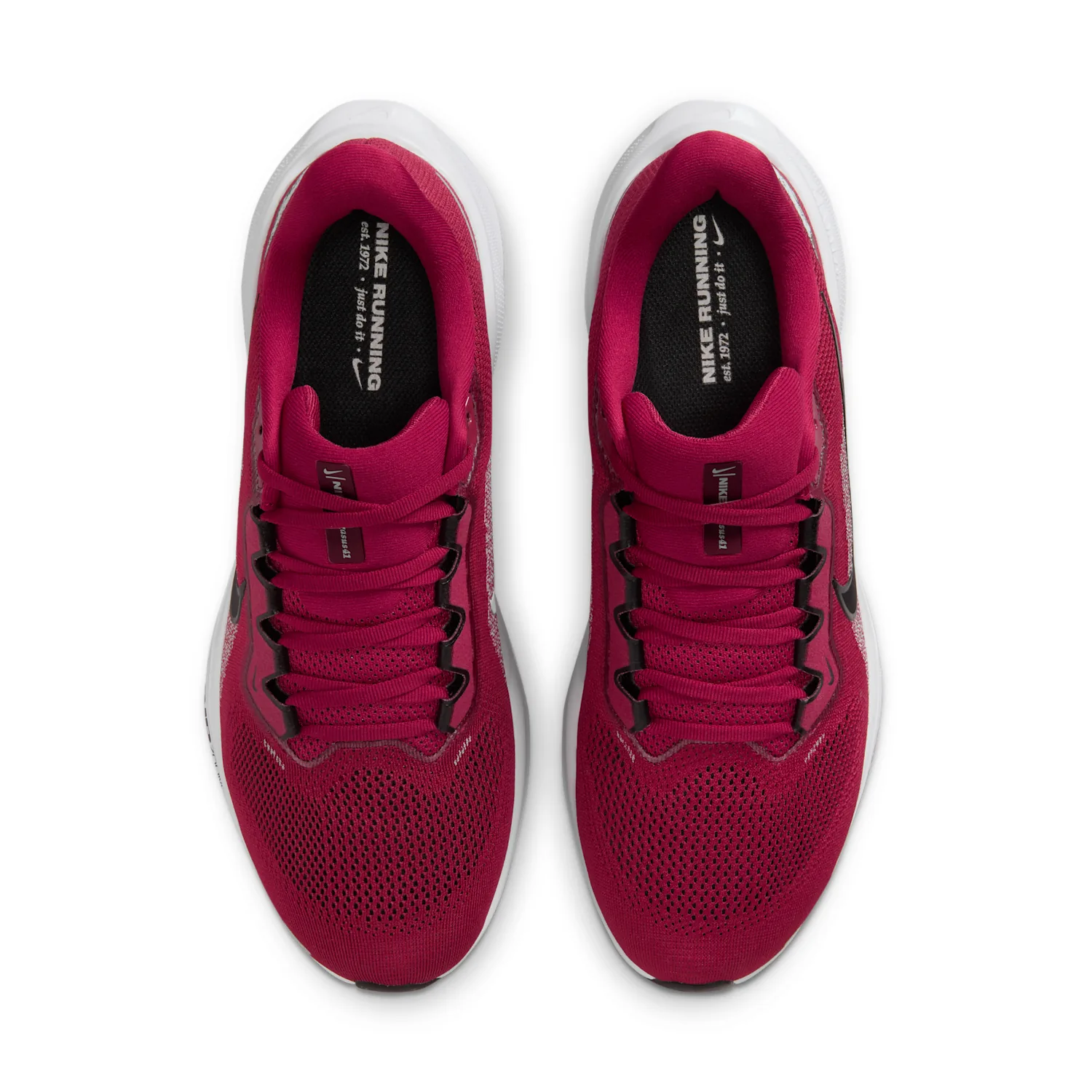 Arkansas Pegasus 41 image 4