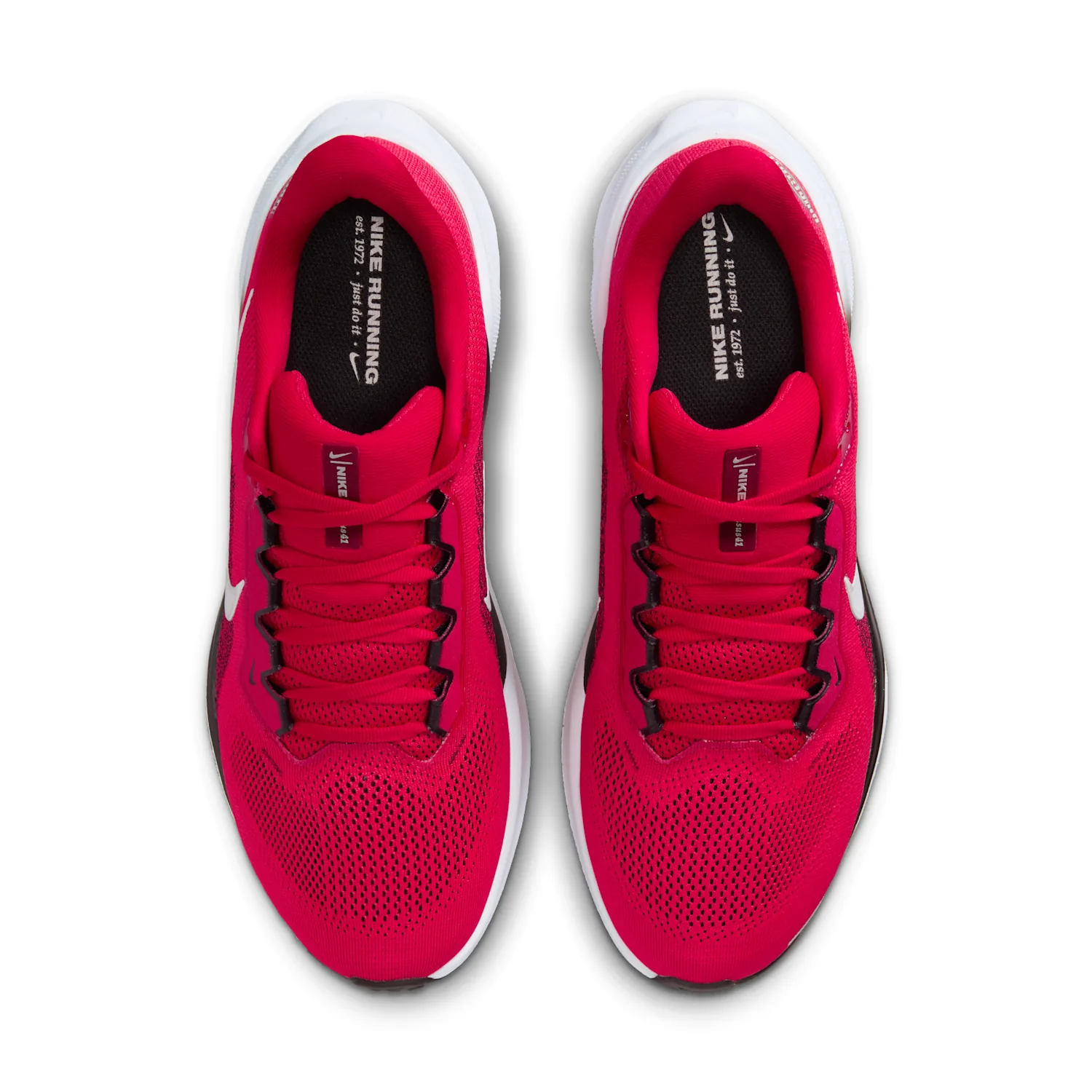 Ohio State Pegasus 41 image 4