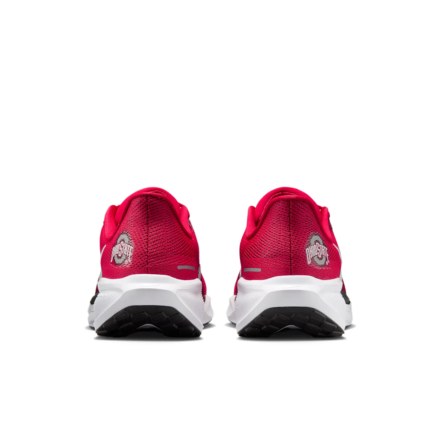 Ohio State Pegasus 41 image 6