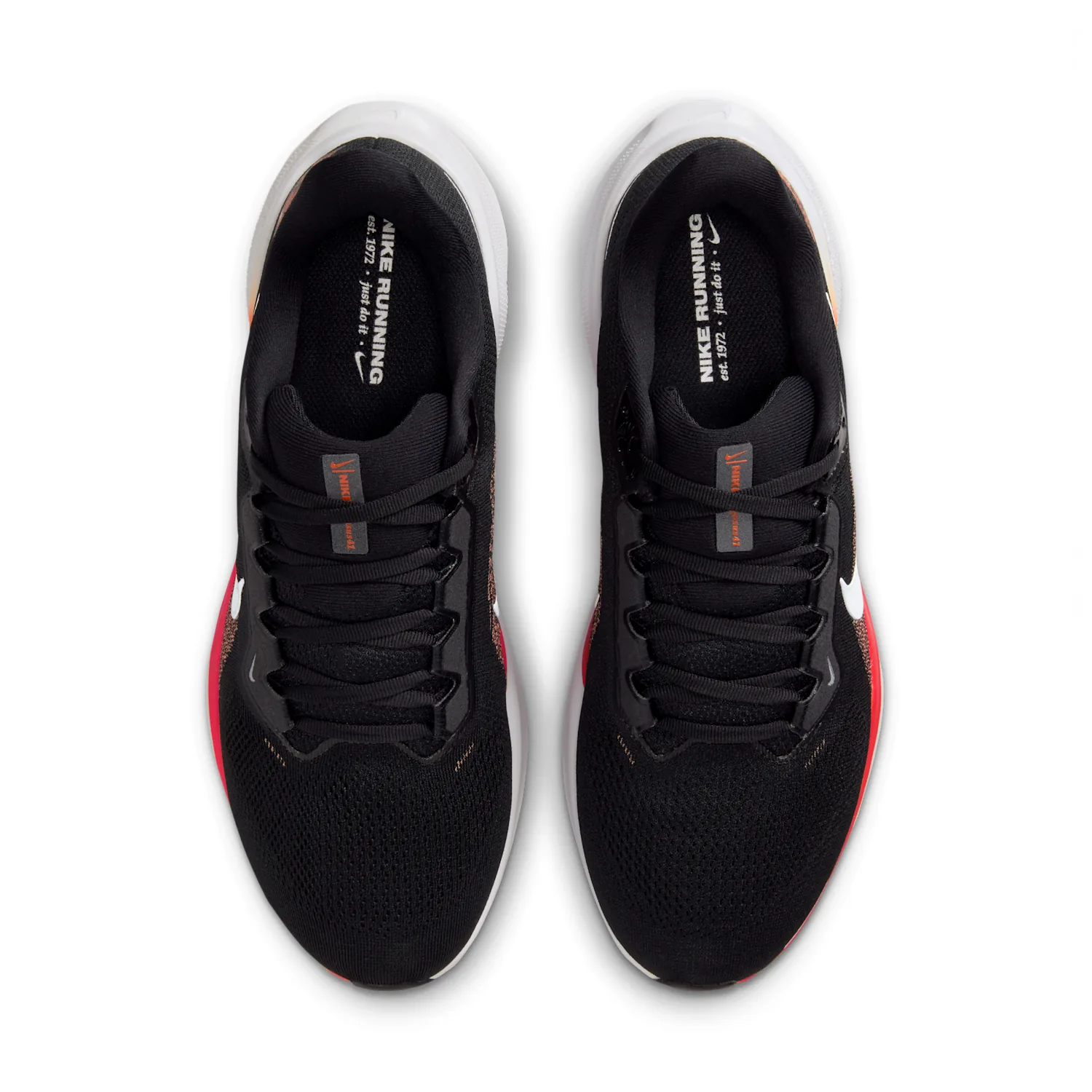 Oregon State Pegasus 41 image 4