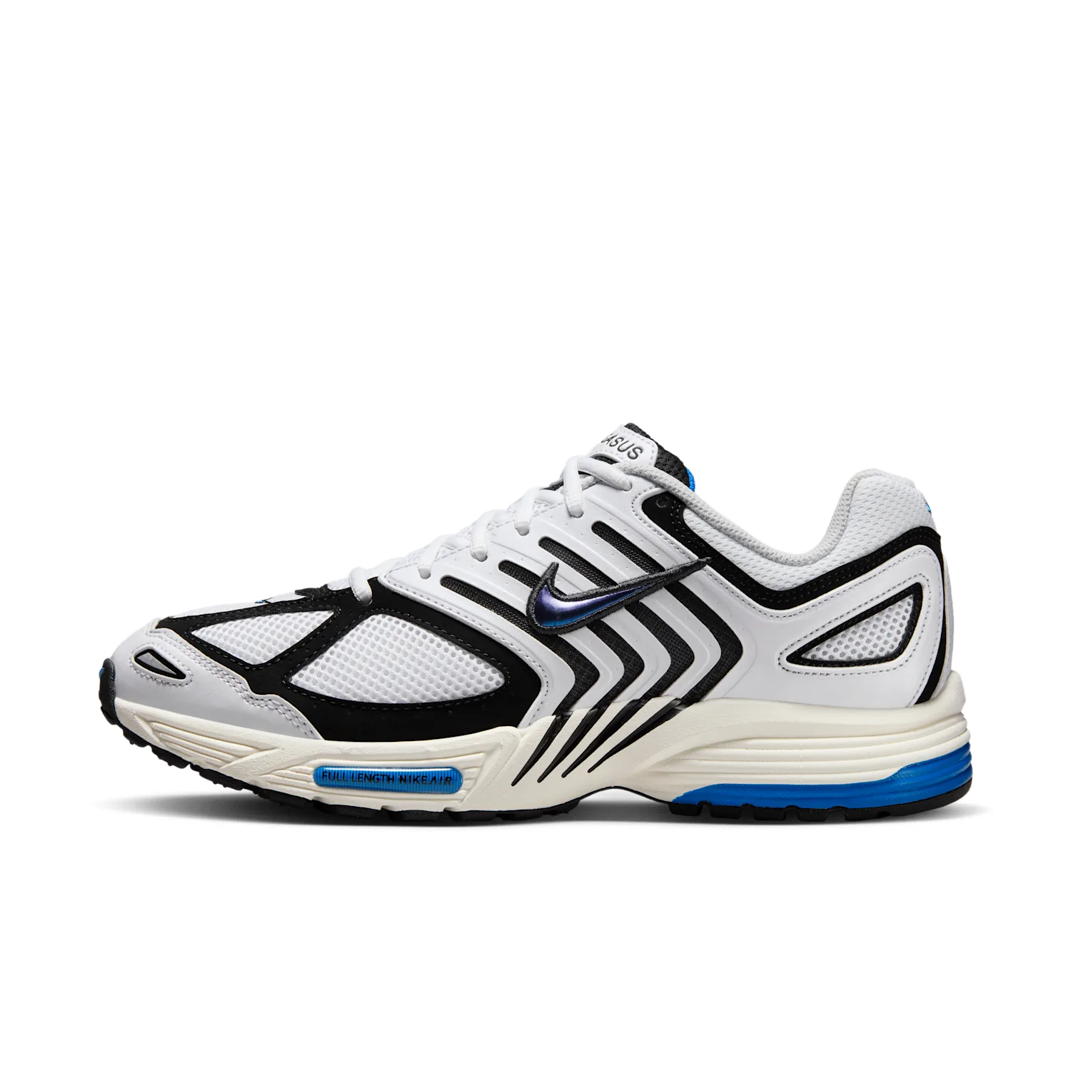 Nike Air Pegasus 2005