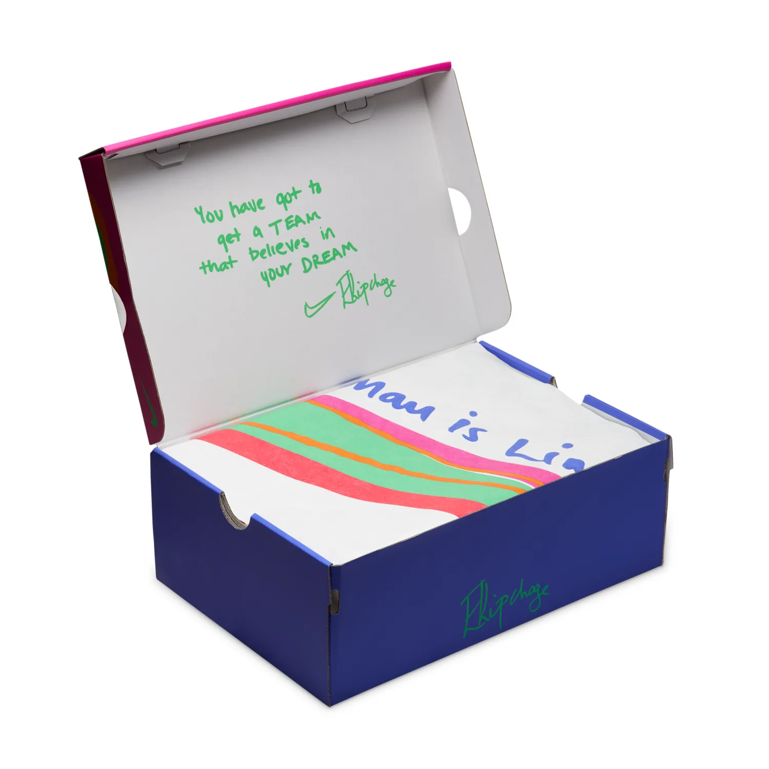 Nike Vaporfly 4 "Eliud Kipchoge" image 9