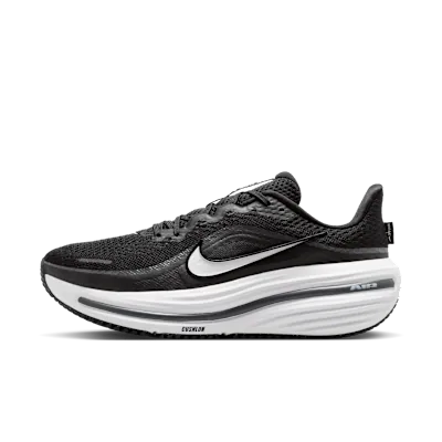 Nike Winflo 12