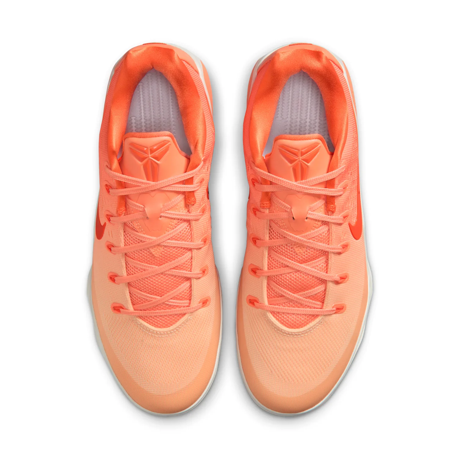 Kobe 9 Low Protro image 4
