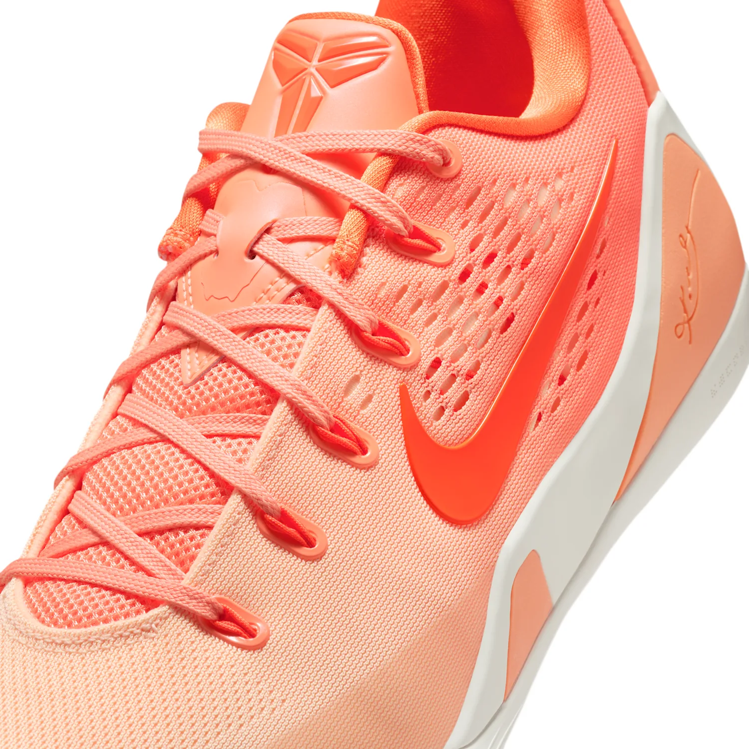 Kobe 9 Low Protro image 7
