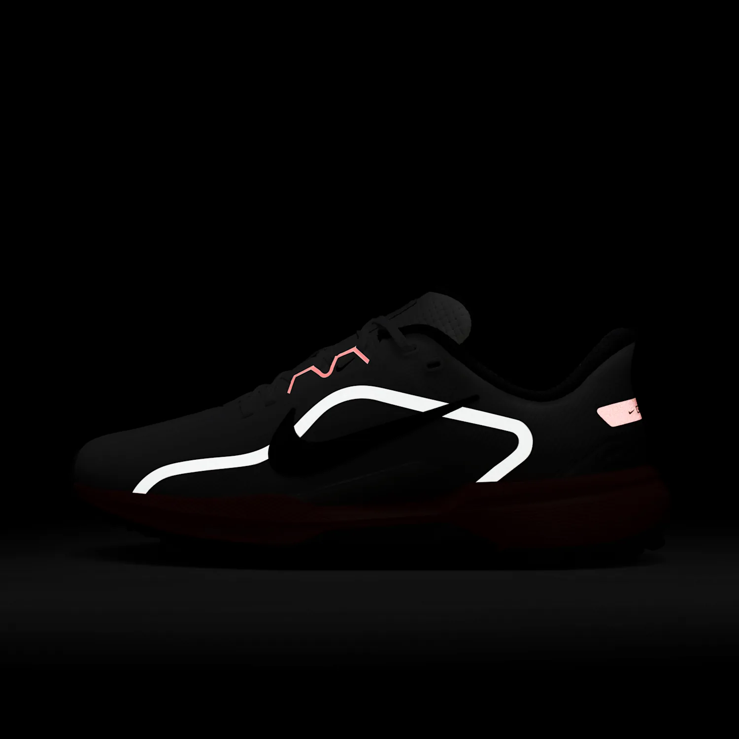 Nike Pegasus 1 G image 2