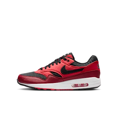 Nike Air Max 1 "Reds"