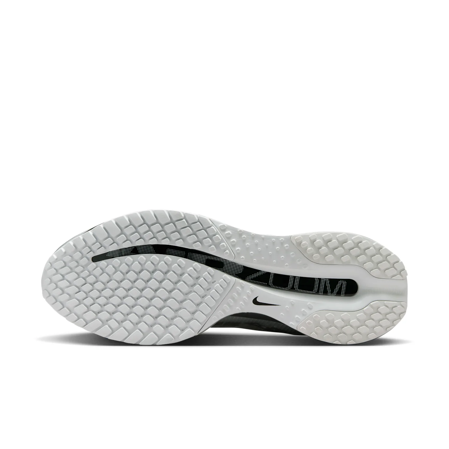Nike Pegasus Premium image 2