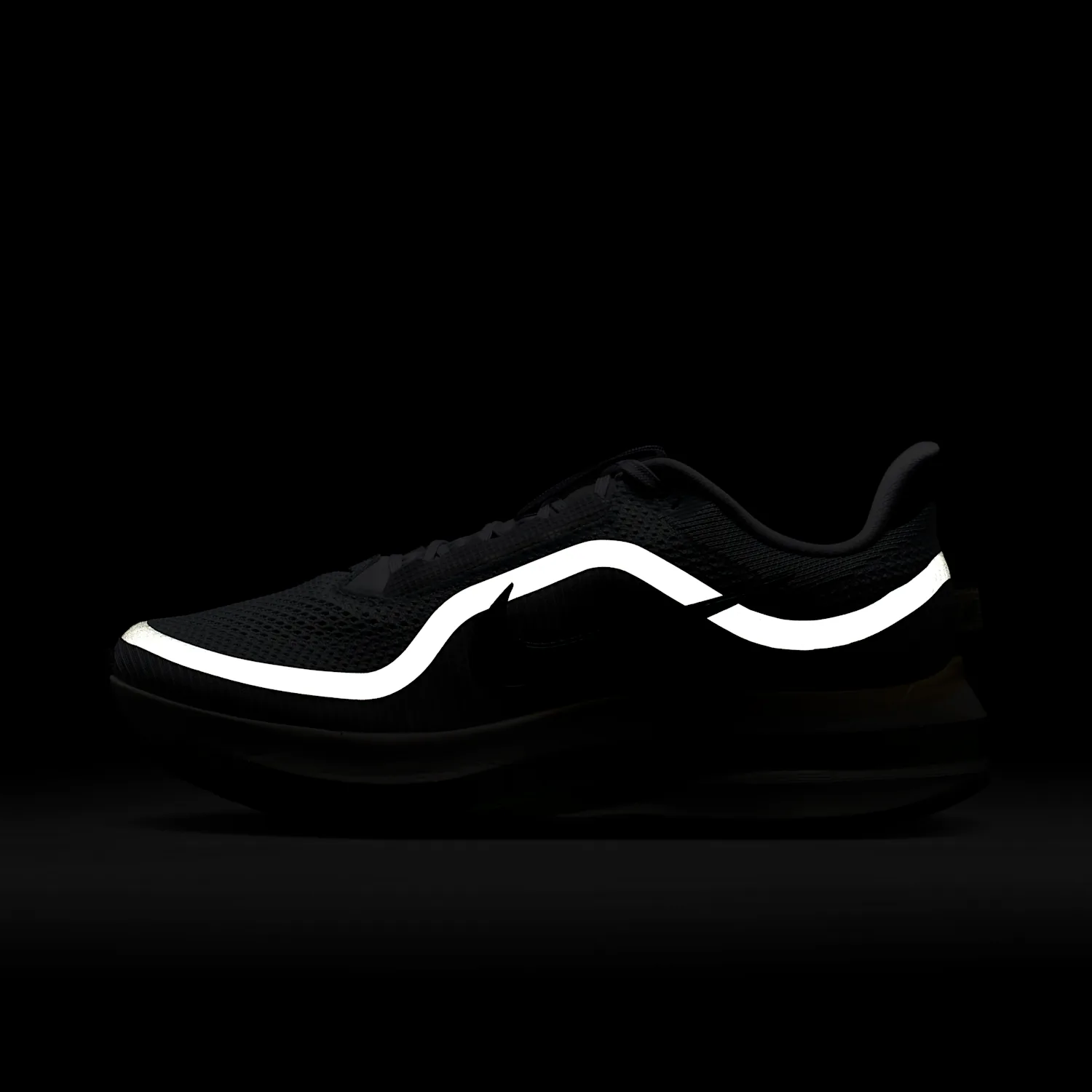 Nike Pegasus Premium image 9