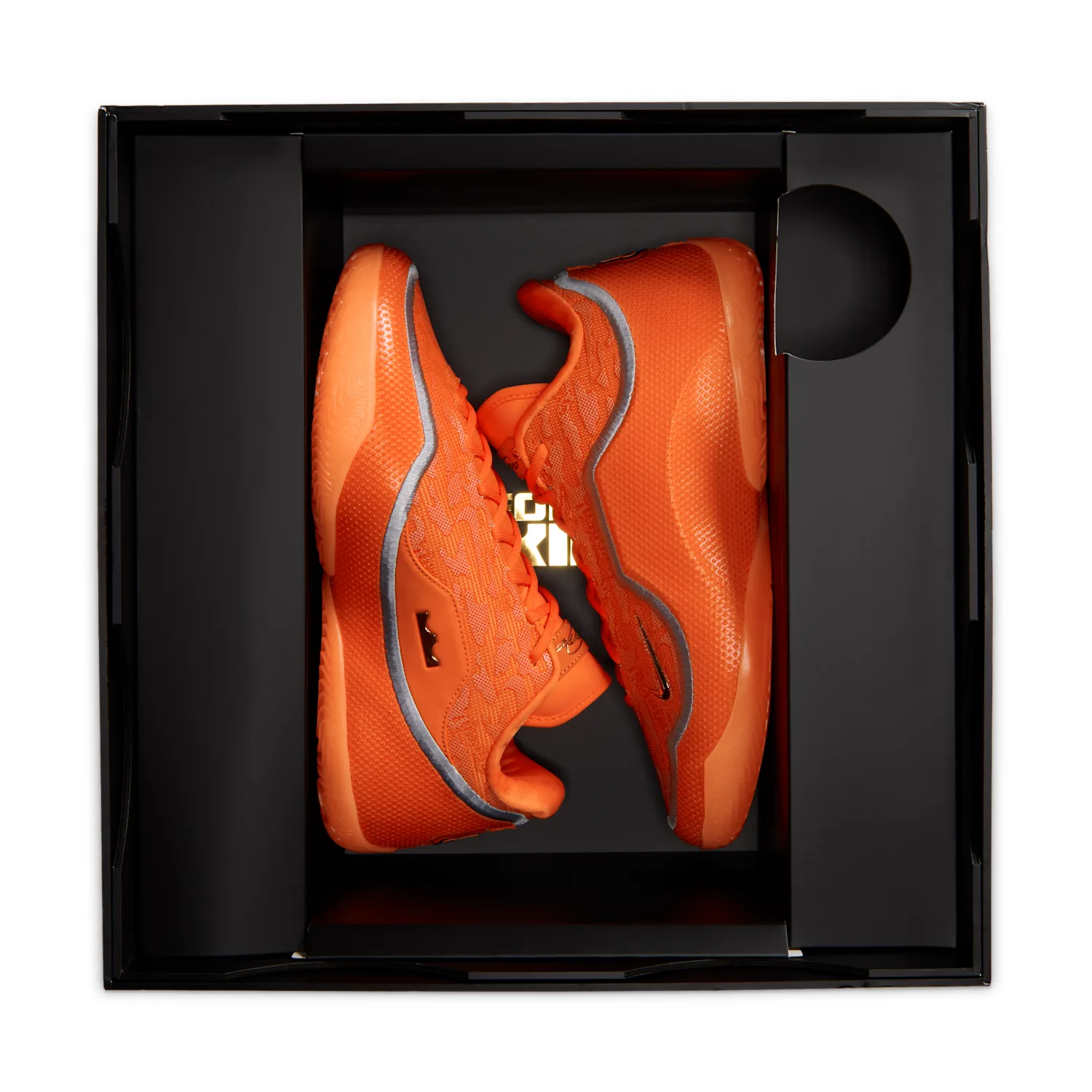 LeBron XXIII "Shoe Bag" image 5