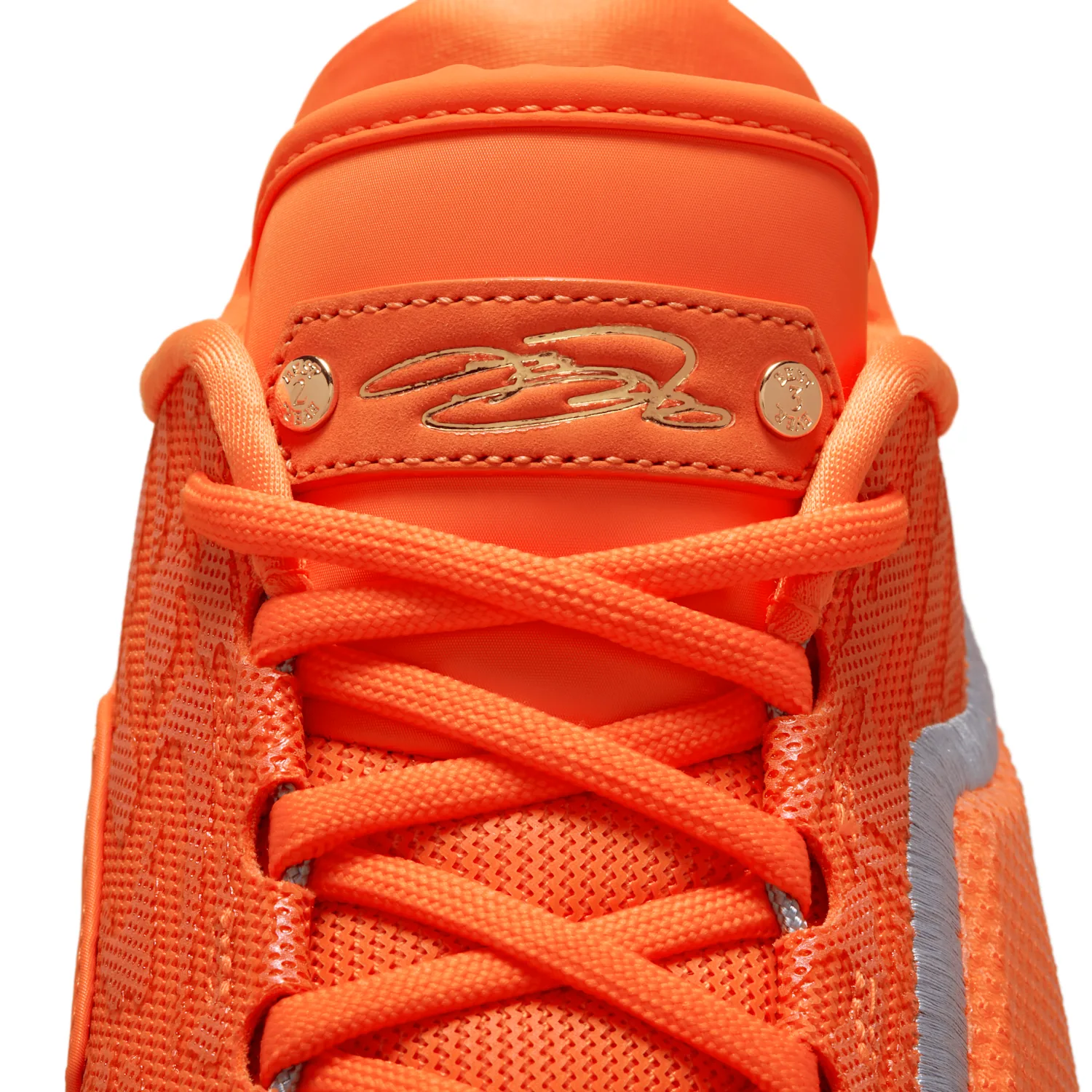 LeBron XXIII "Shoe Bag" image 16