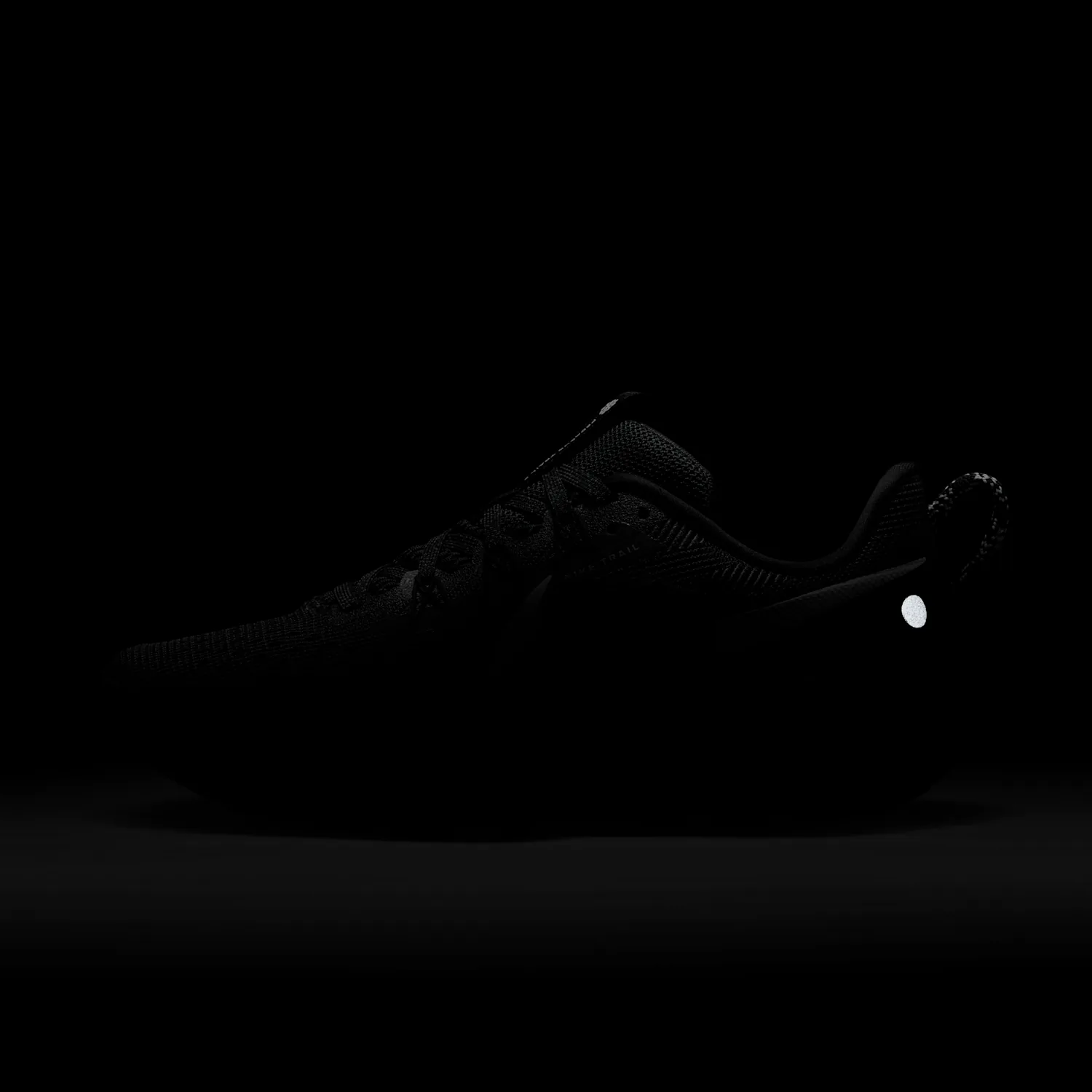 Nike Pegasus Trail 5 image 10