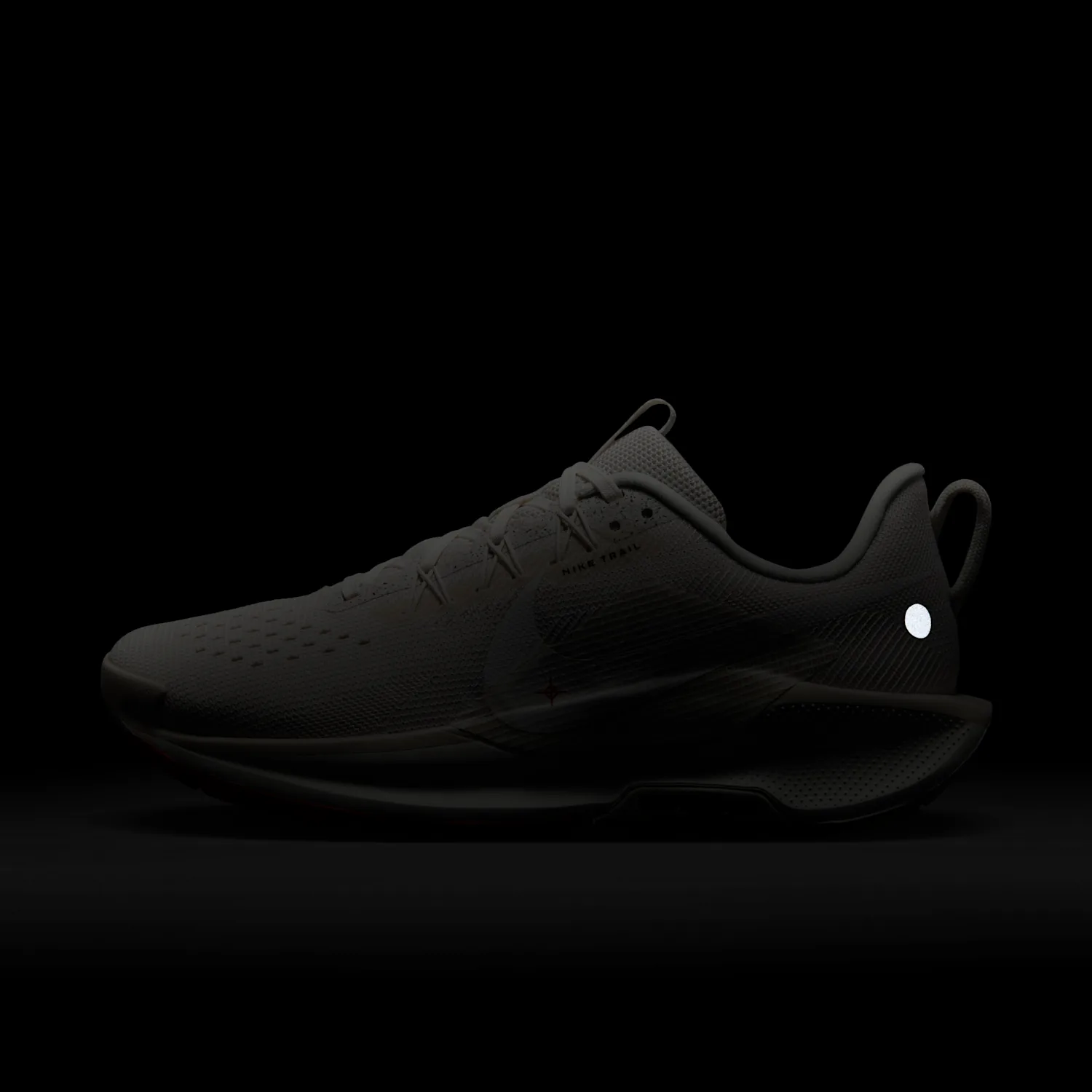 Nike Pegasus Trail 5 image 2