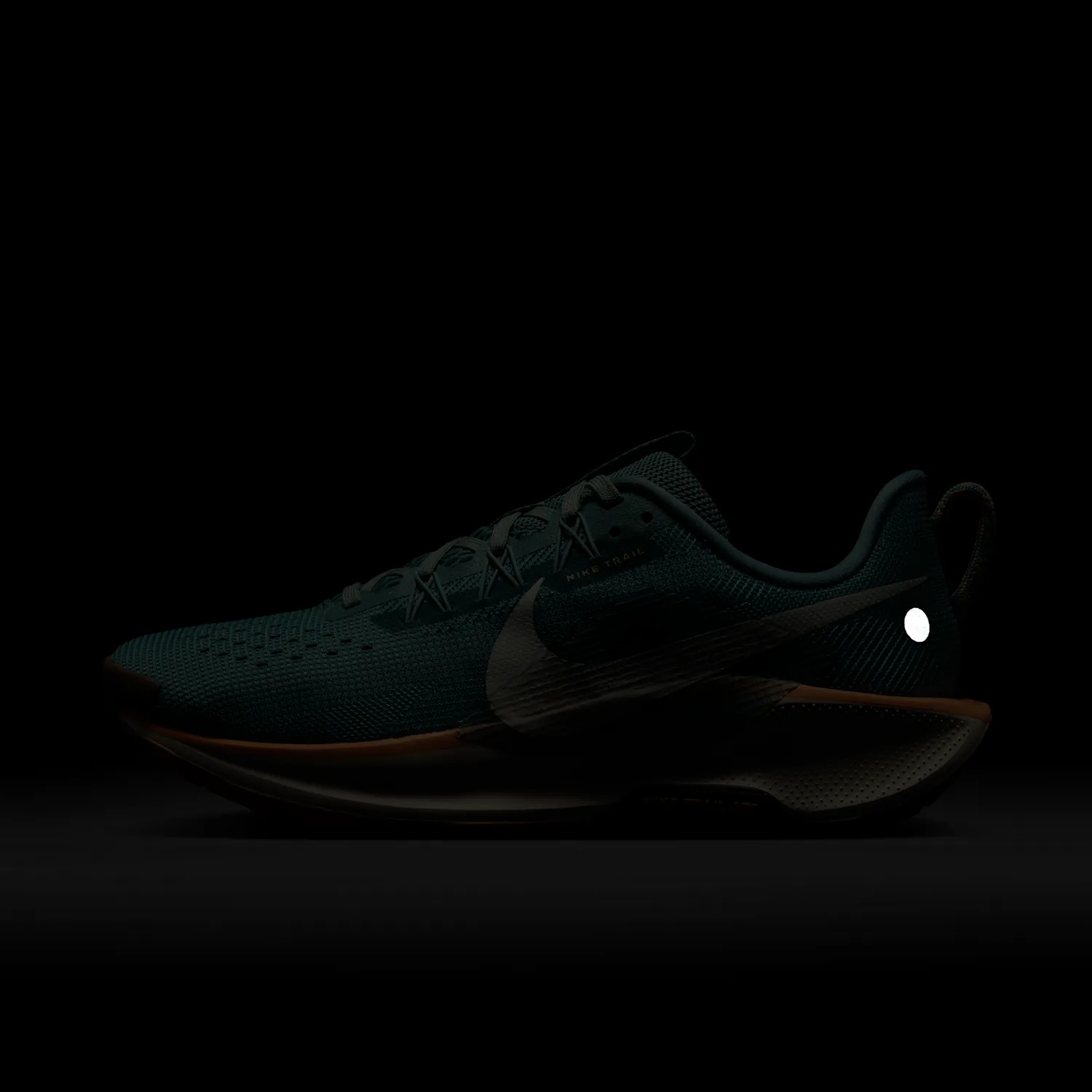 Nike Pegasus Trail 5 image 10