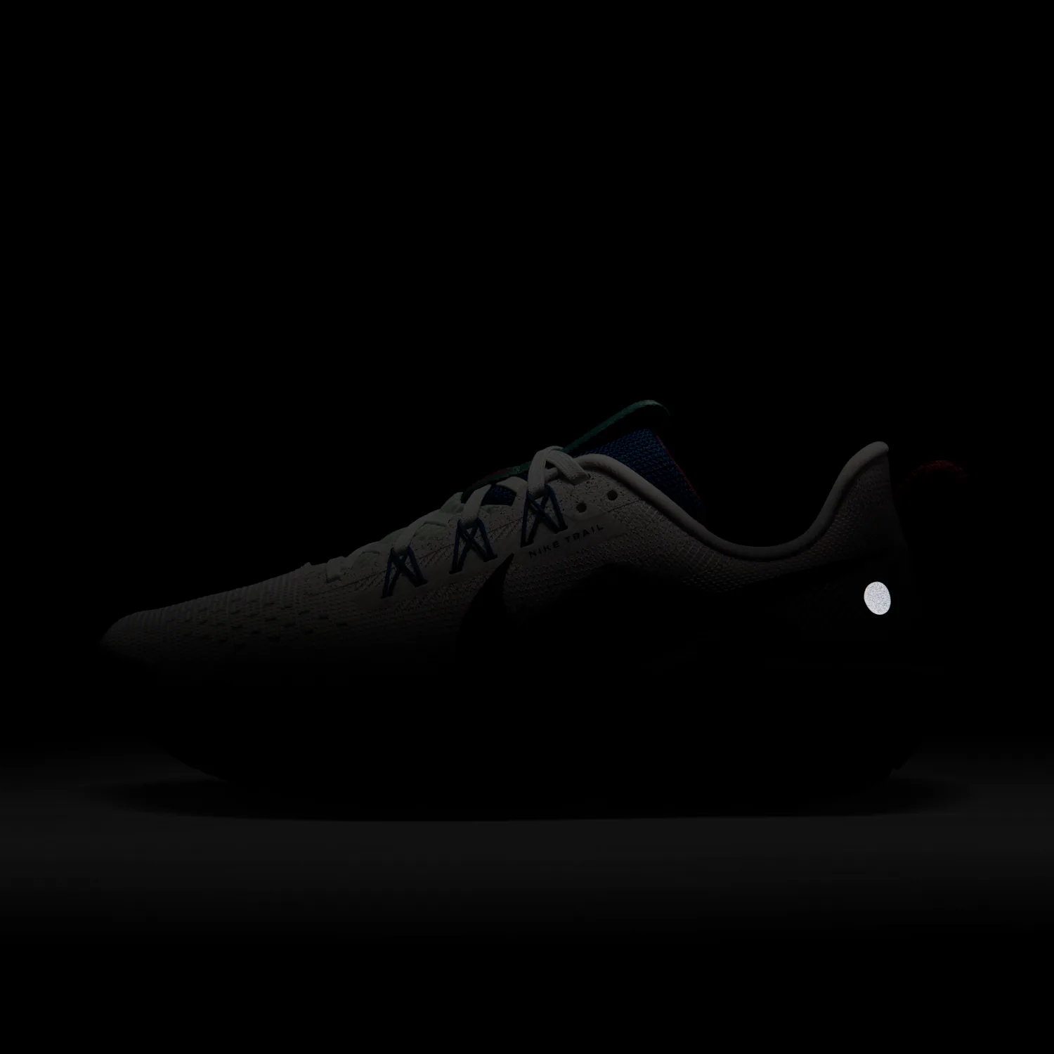 Nike Pegasus Trail 5 image 3
