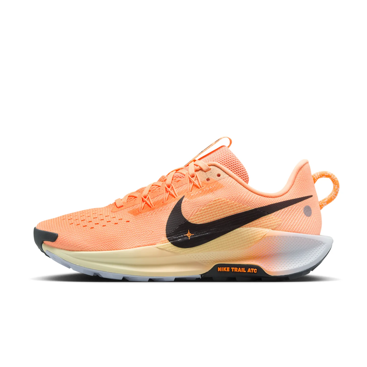 Nike Pegasus Trail 5