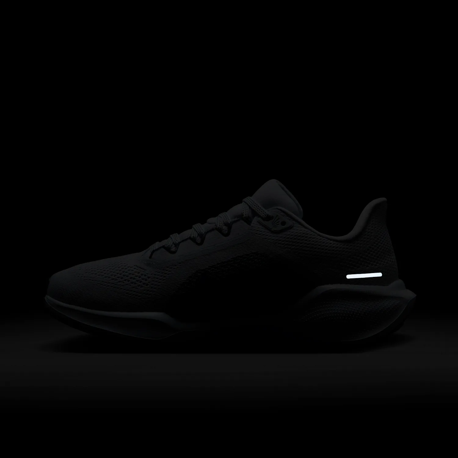 Nike Pegasus 41 image 4