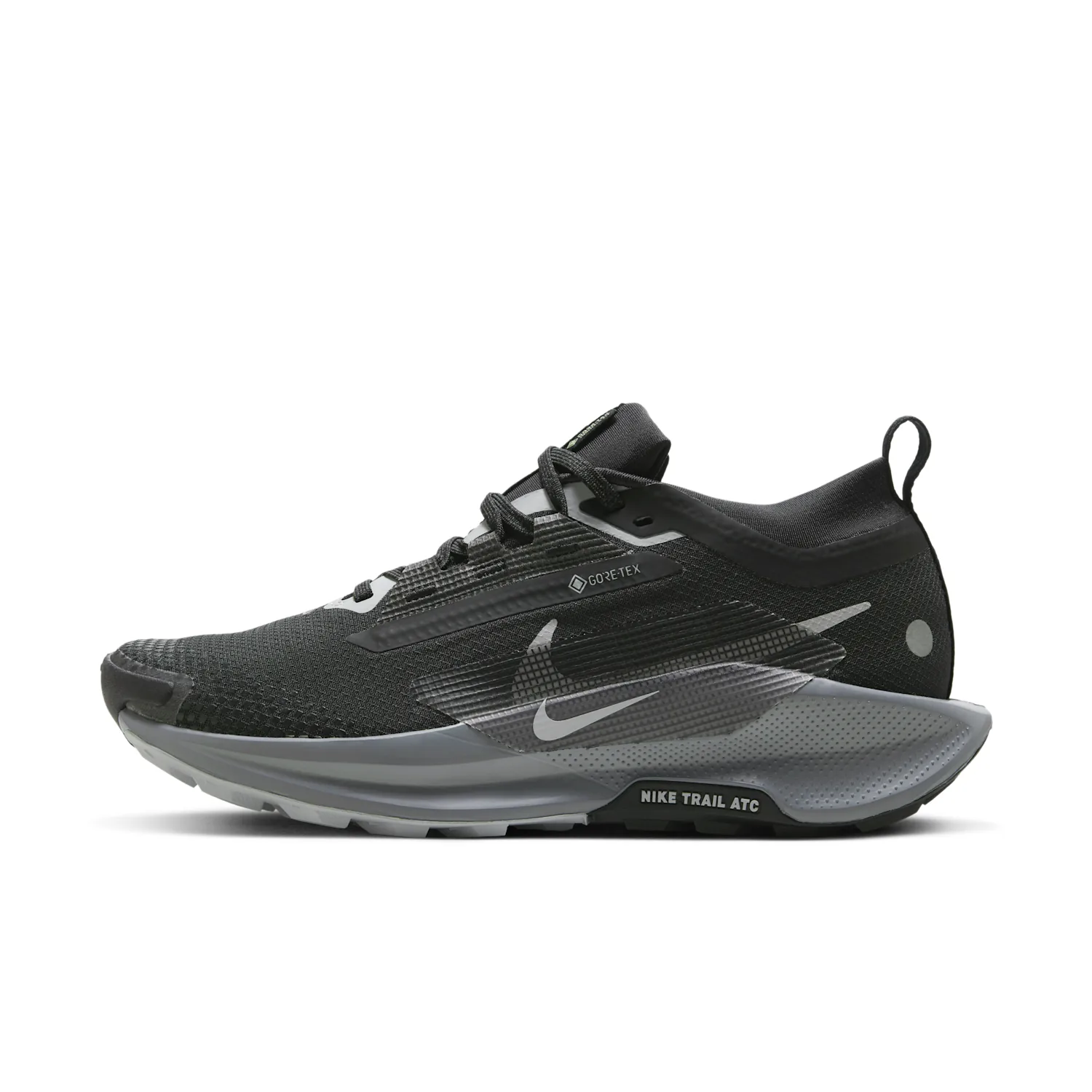Nike Pegasus Trail 5 GORE-TEX