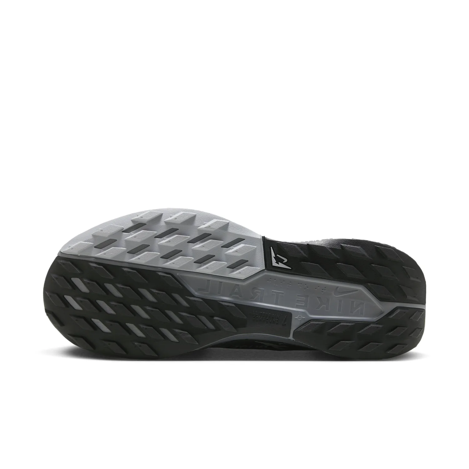 Nike Pegasus Trail 5 GORE-TEX image 2