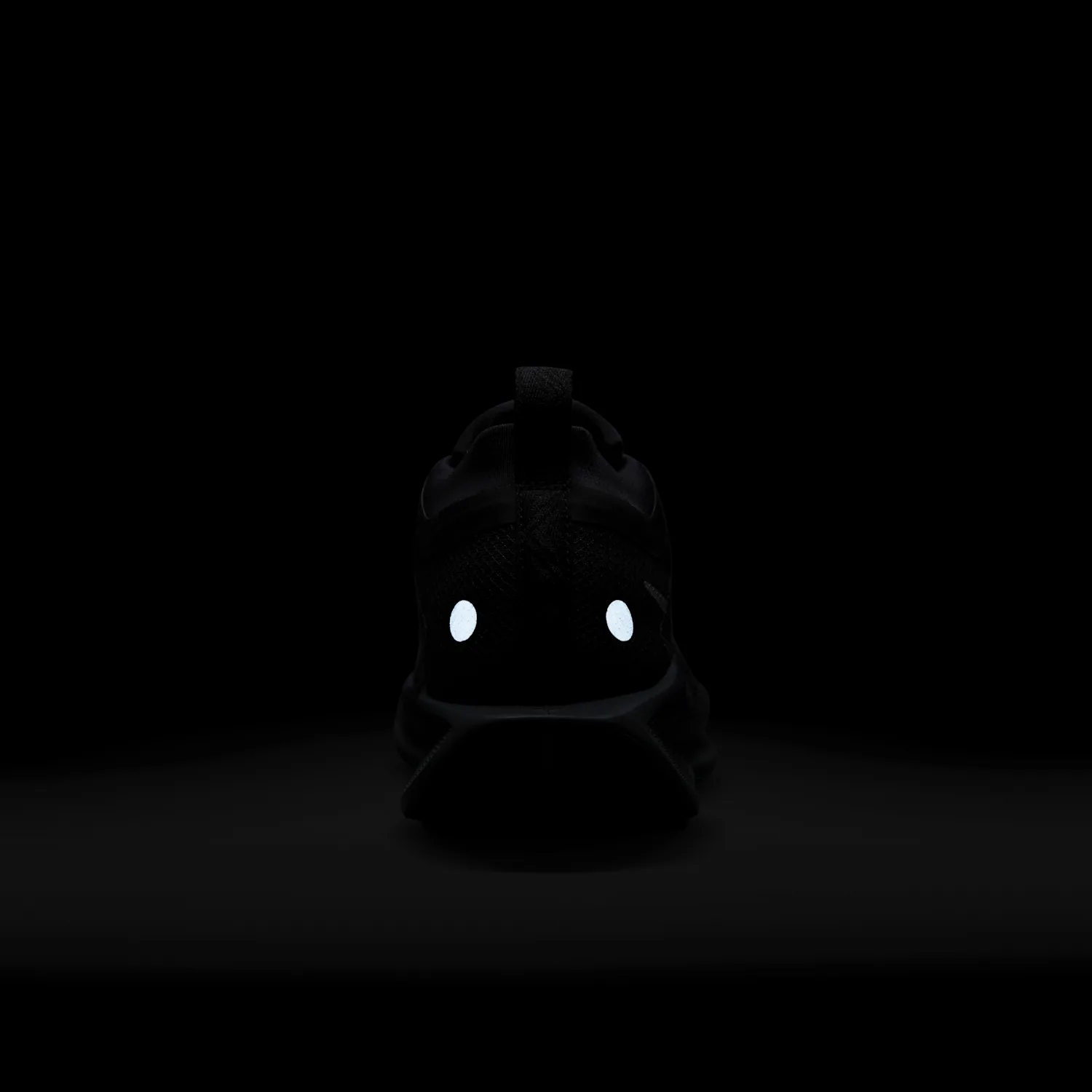 Nike Pegasus Trail 5 GORE-TEX image 9