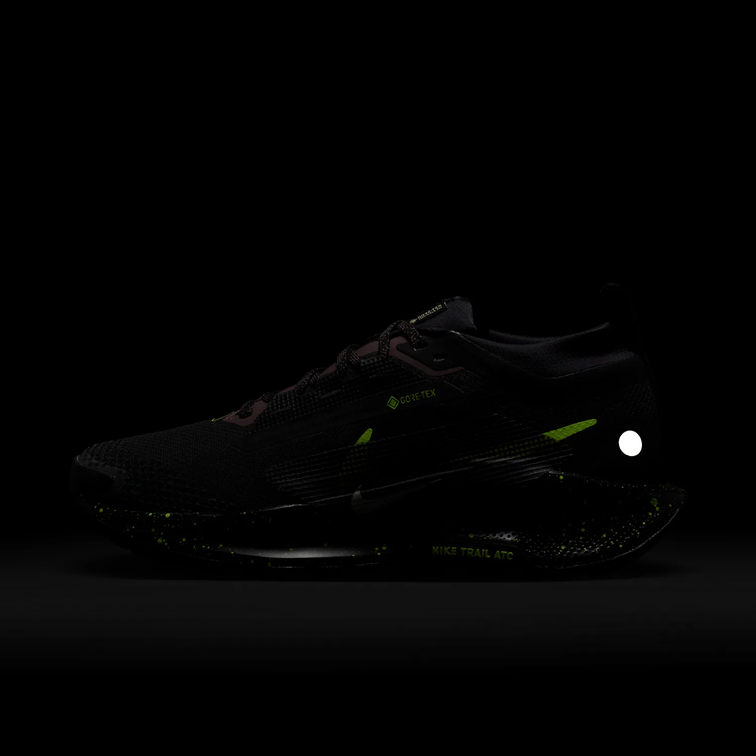 Nike Pegasus Trail 5 GORE-TEX image 9