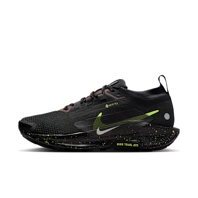 Nike Pegasus Trail 5 GORE-TEX
