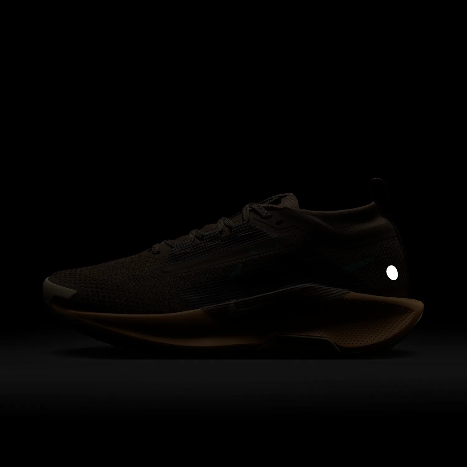 Nike Pegasus Trail 5 GORE-TEX image 10