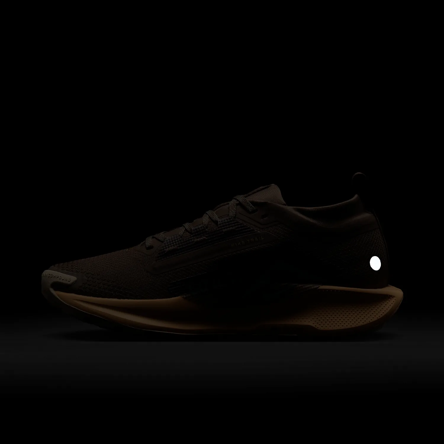 Nike Pegasus Trail 5 GORE-TEX image 11