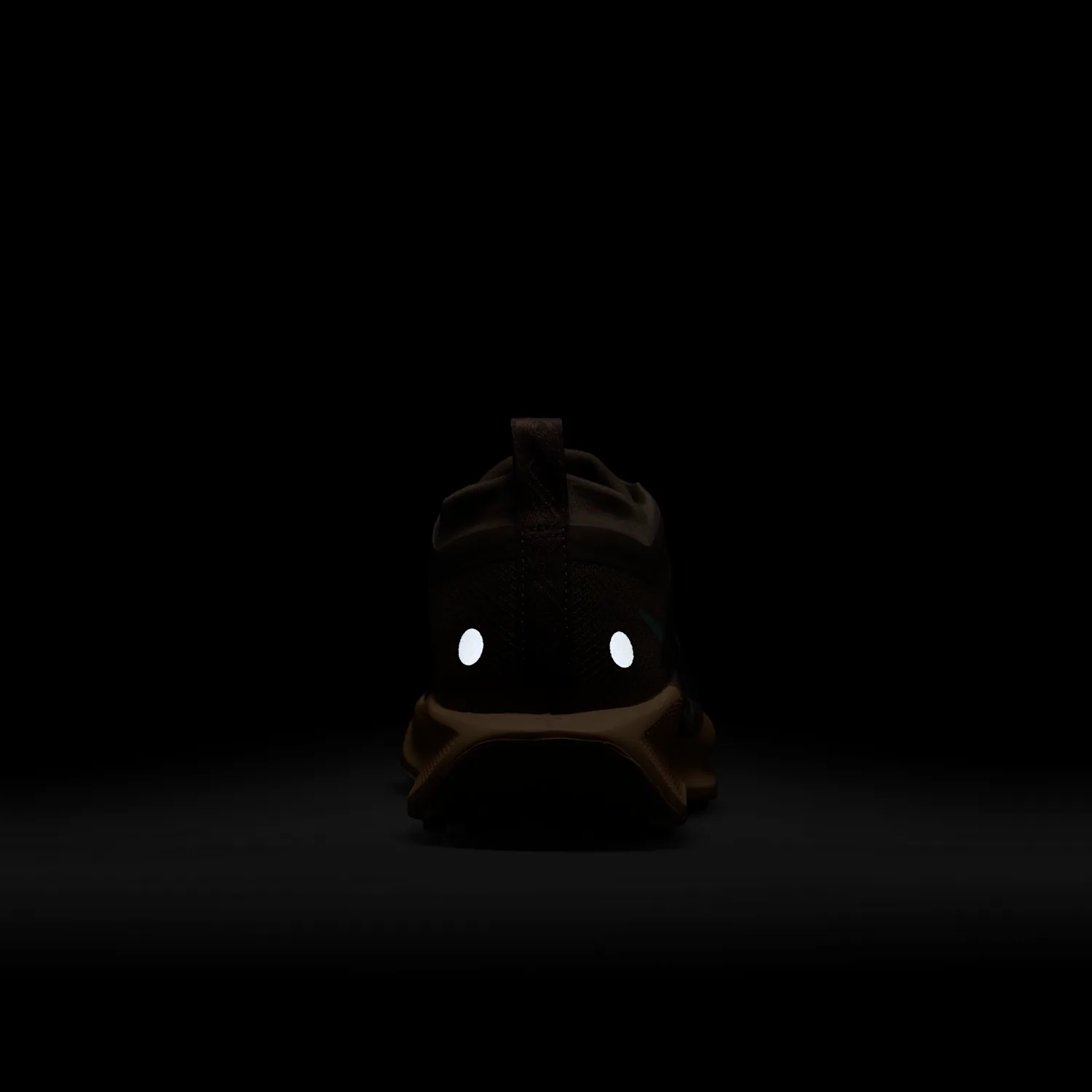 Nike Pegasus Trail 5 GORE-TEX image 9