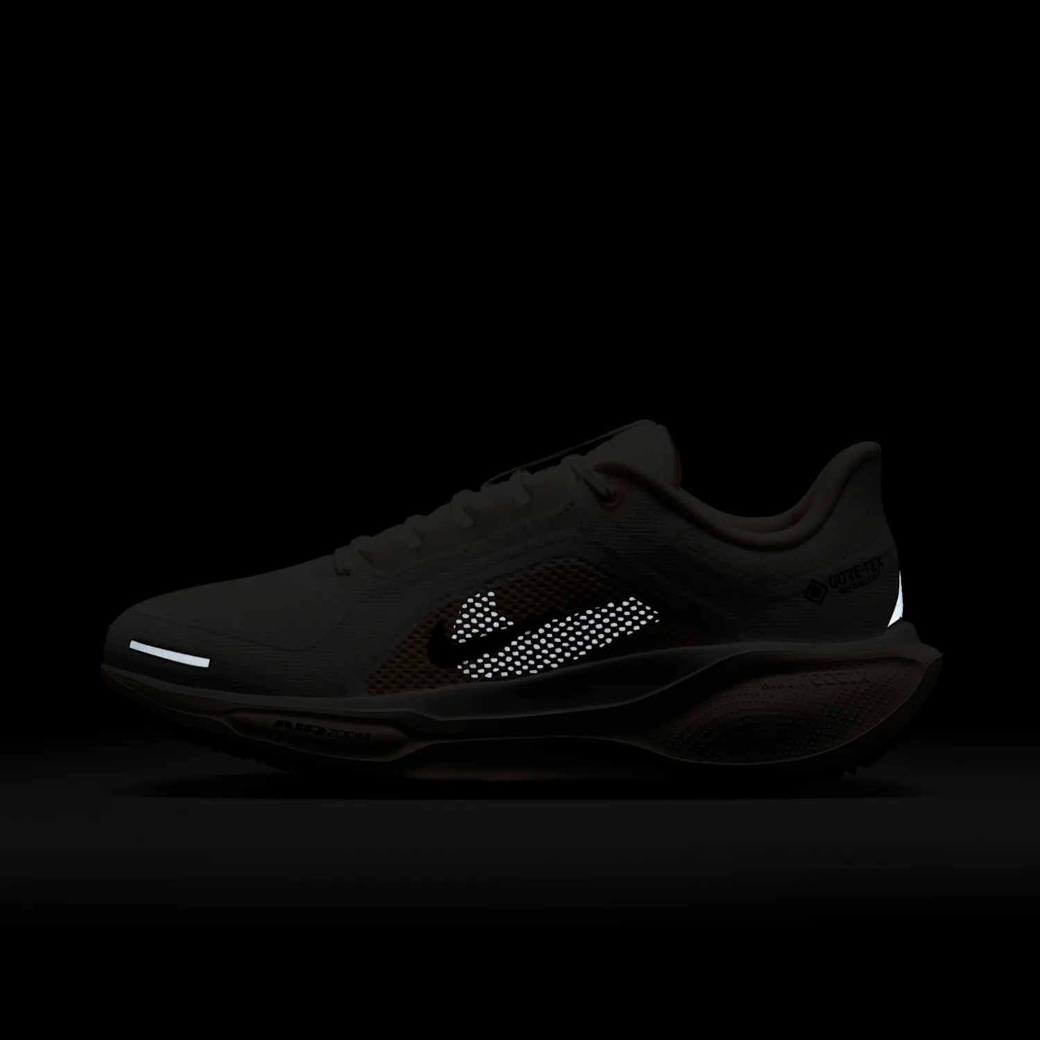 Nike Pegasus 41 GORE-TEX image 3
