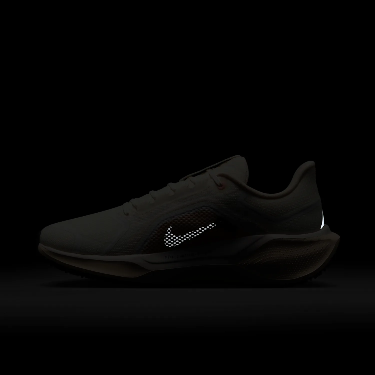 Nike Pegasus 41 GORE-TEX image 4