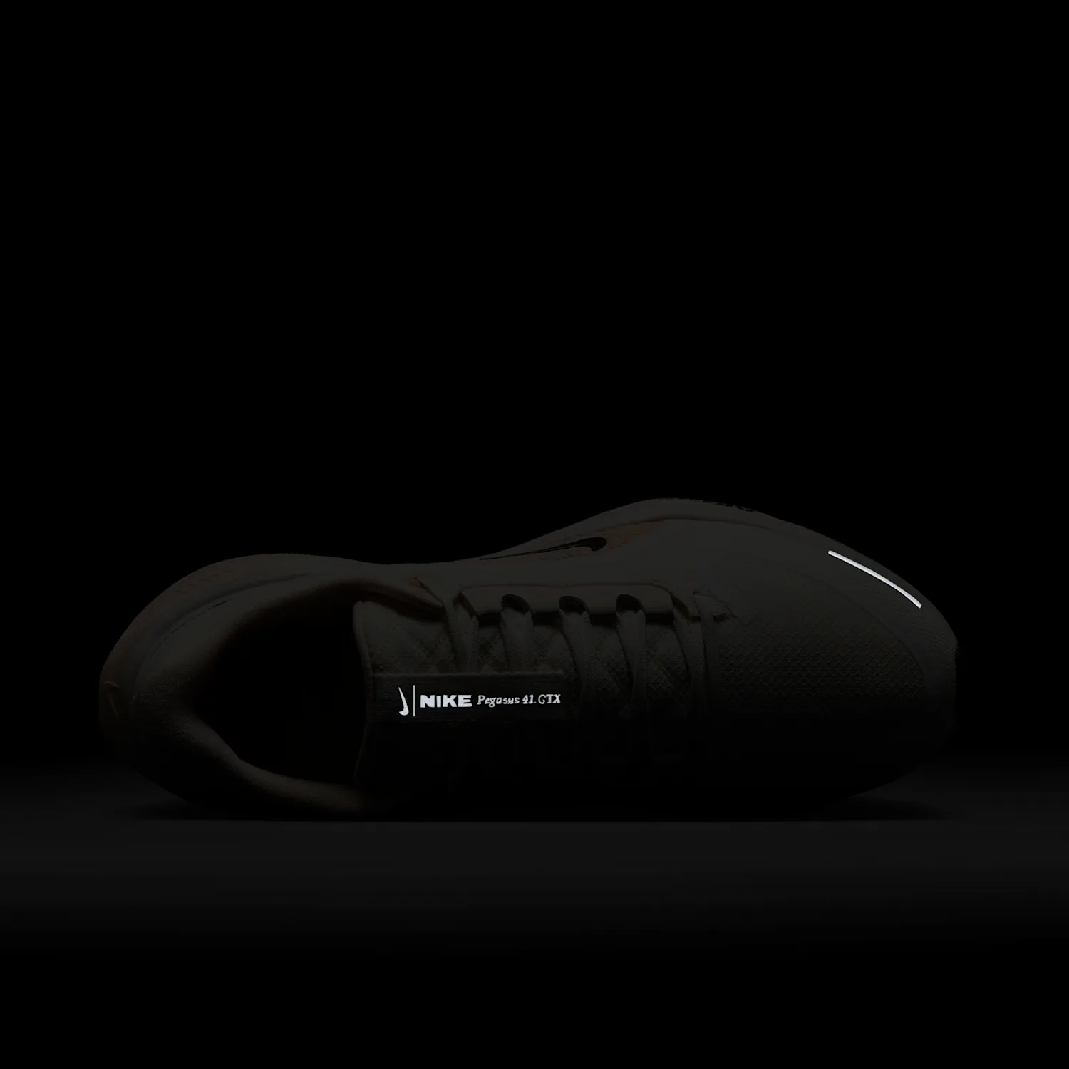 Nike Pegasus 41 GORE-TEX image 13