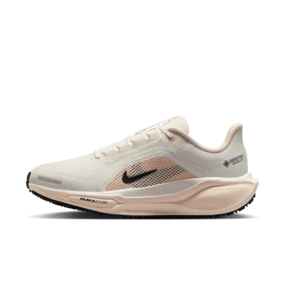 Nike Pegasus 41 GORE-TEX