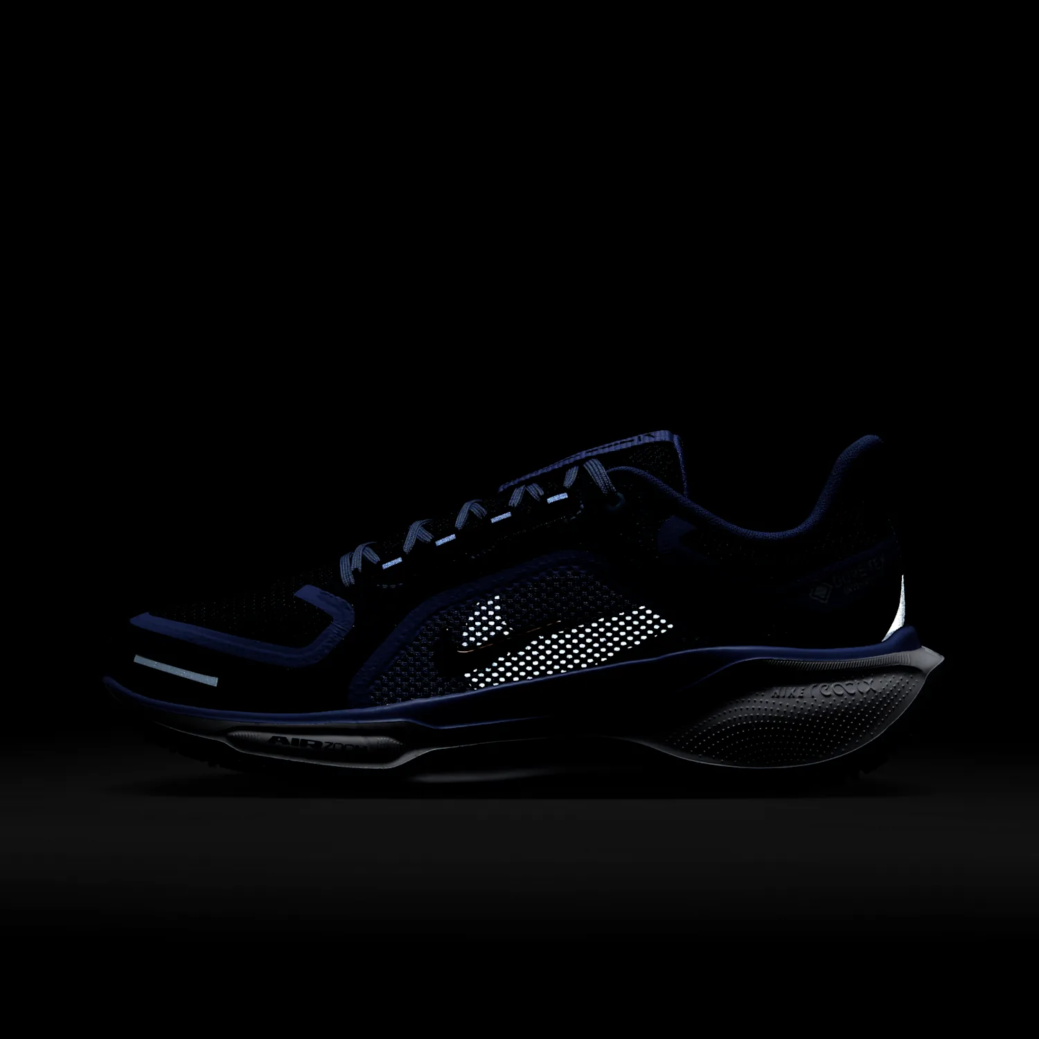 Nike Pegasus 41 GORE-TEX image 2