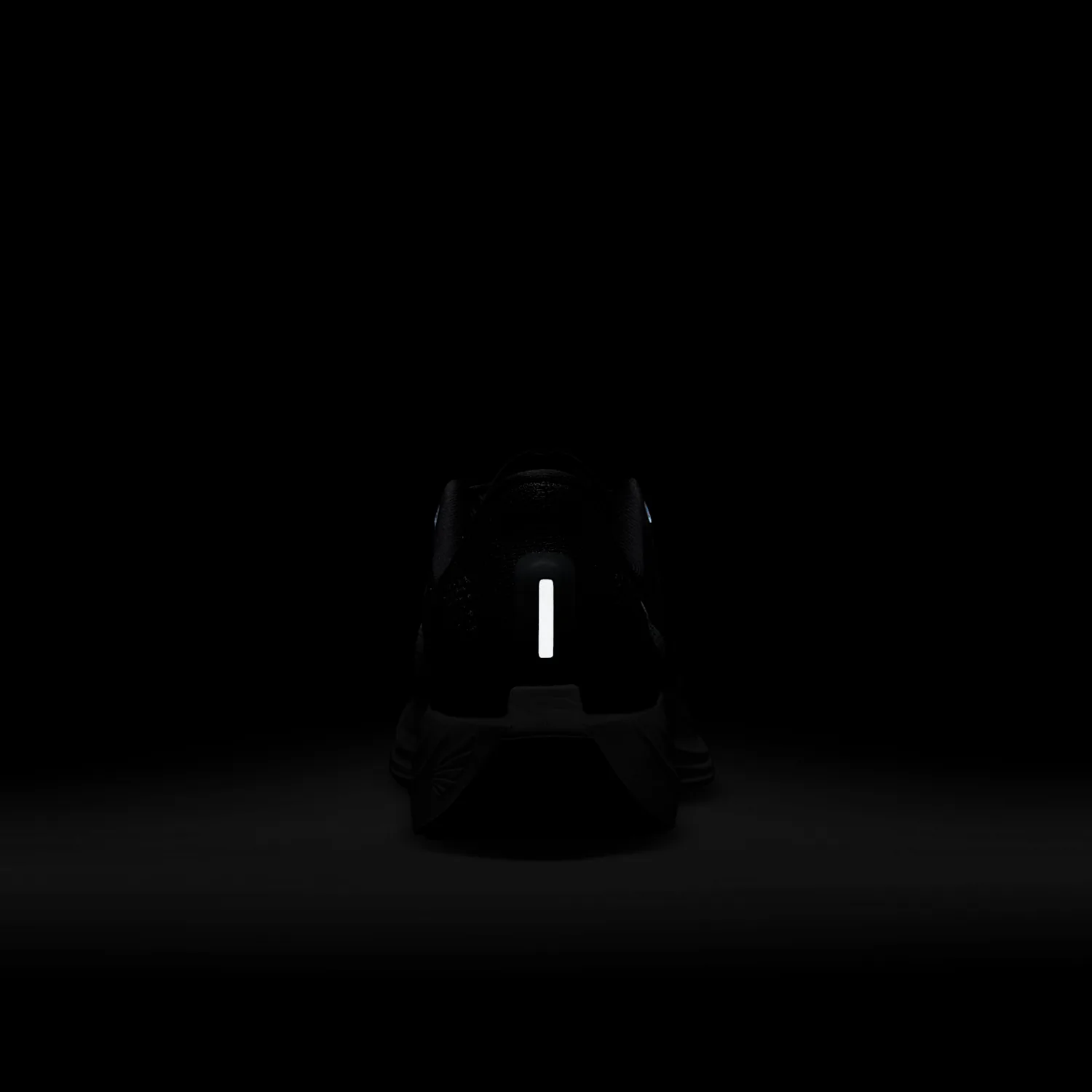 Nike Pegasus Plus image 10