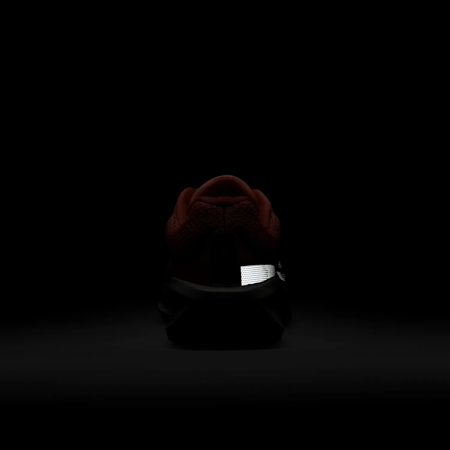 Nike Winflo 11 PRM image 10