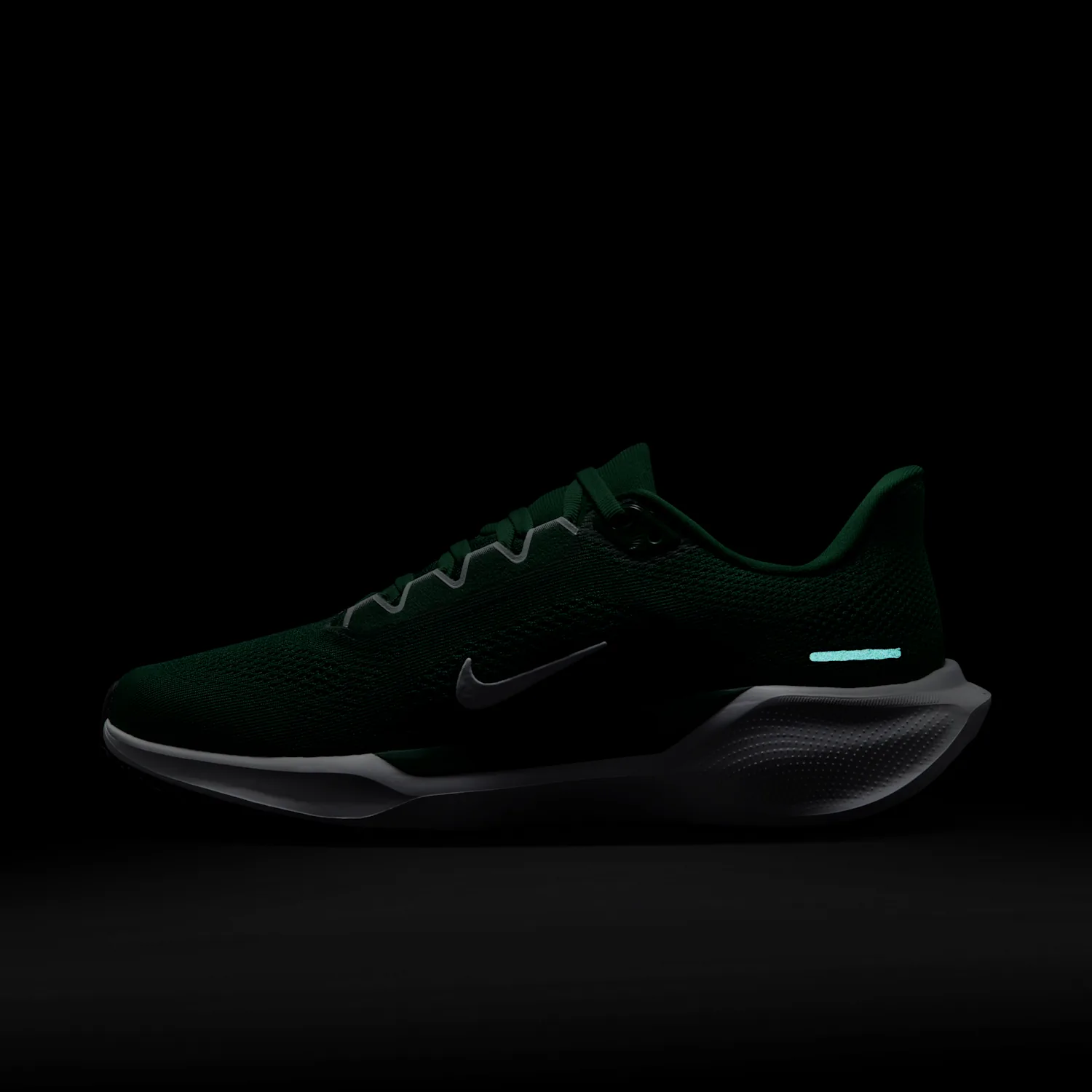 Nike Pegasus 41 image 12
