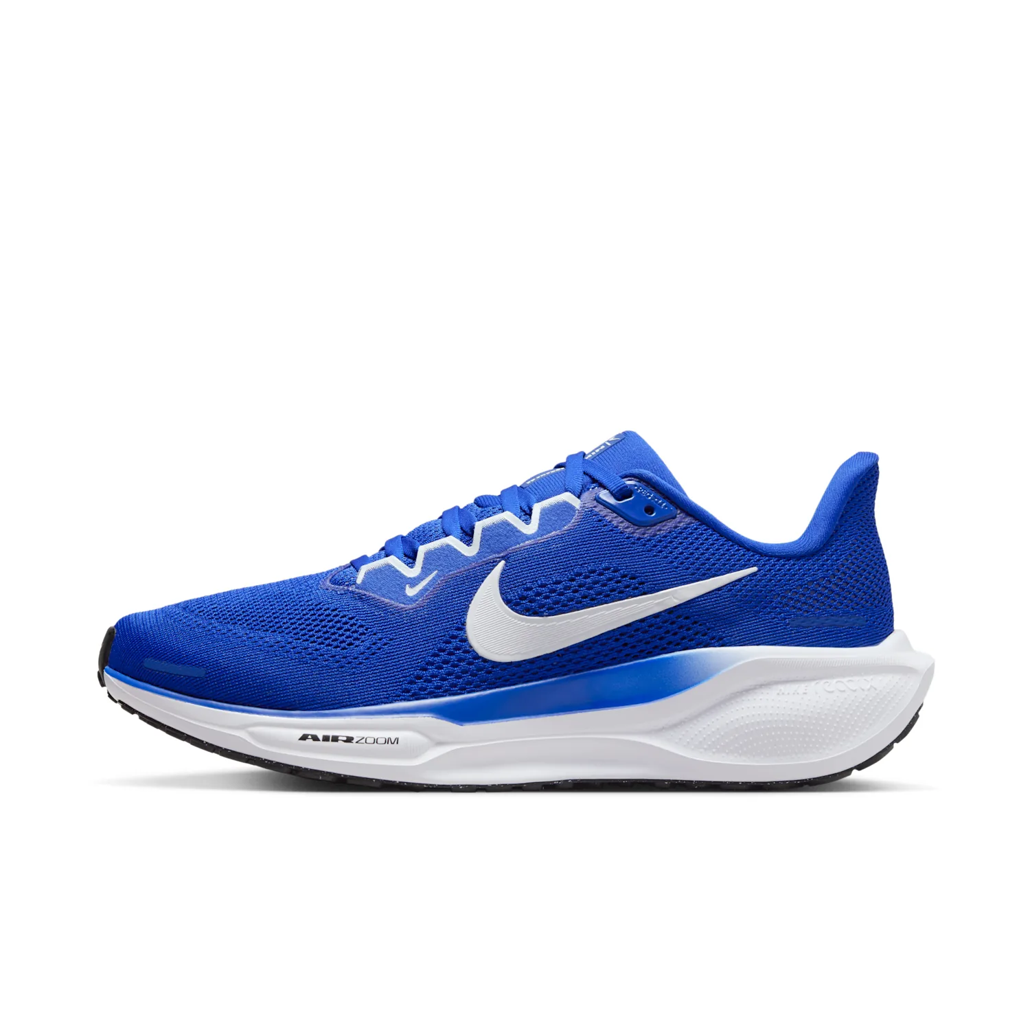 Nike Pegasus 41