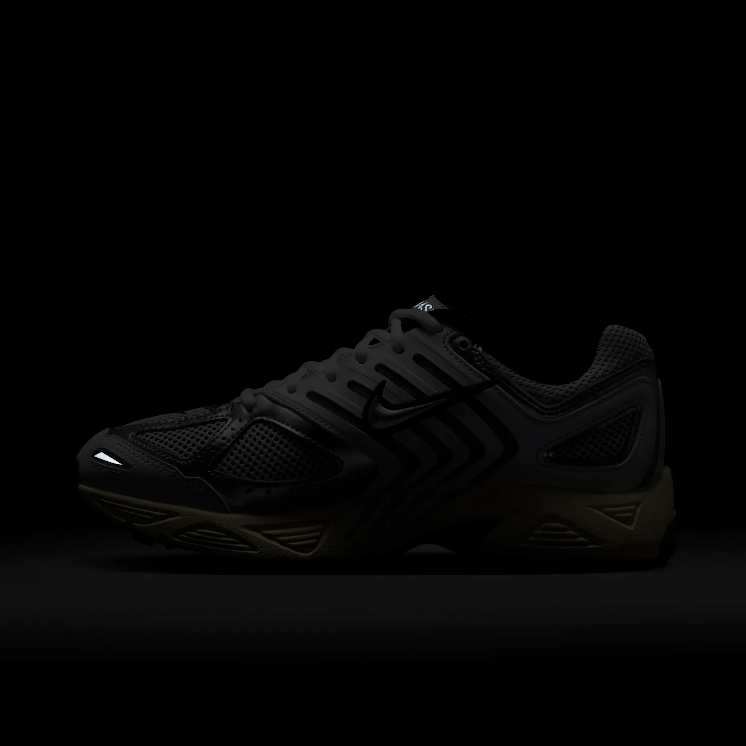 Nike Air Pegasus 2005 image 4