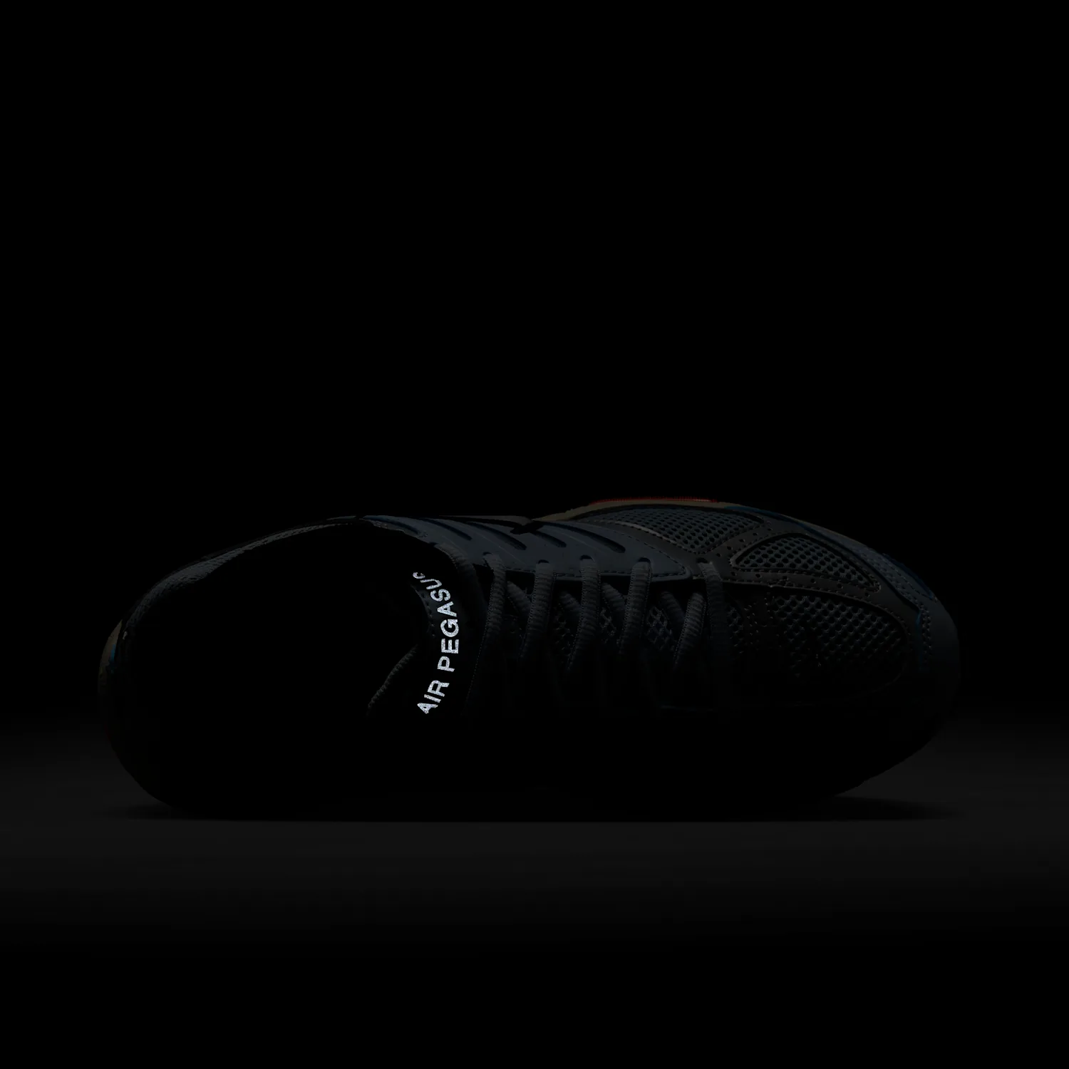 Nike Air Pegasus 2005 image 12