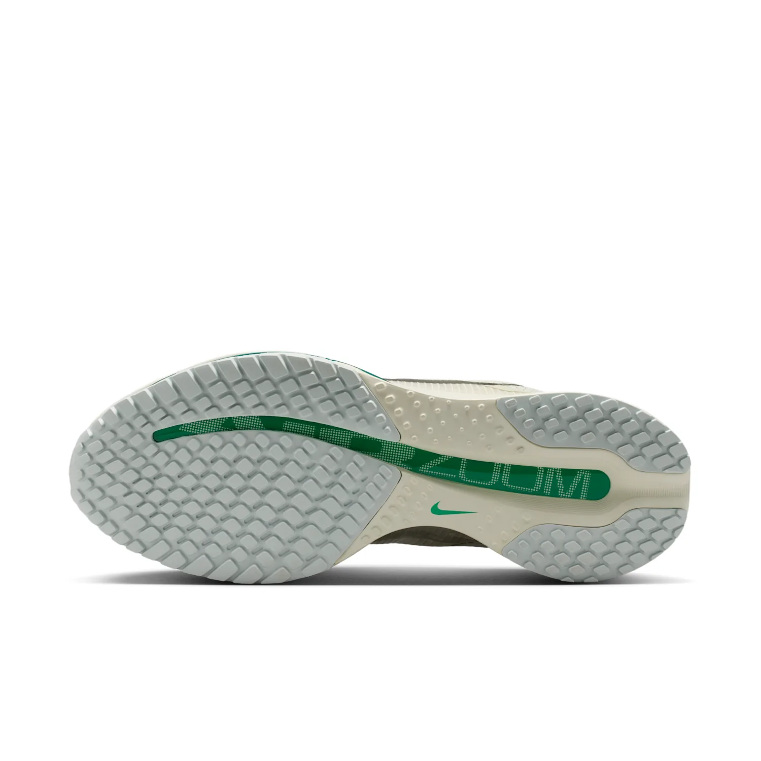 Nike Pegasus Premium image 2