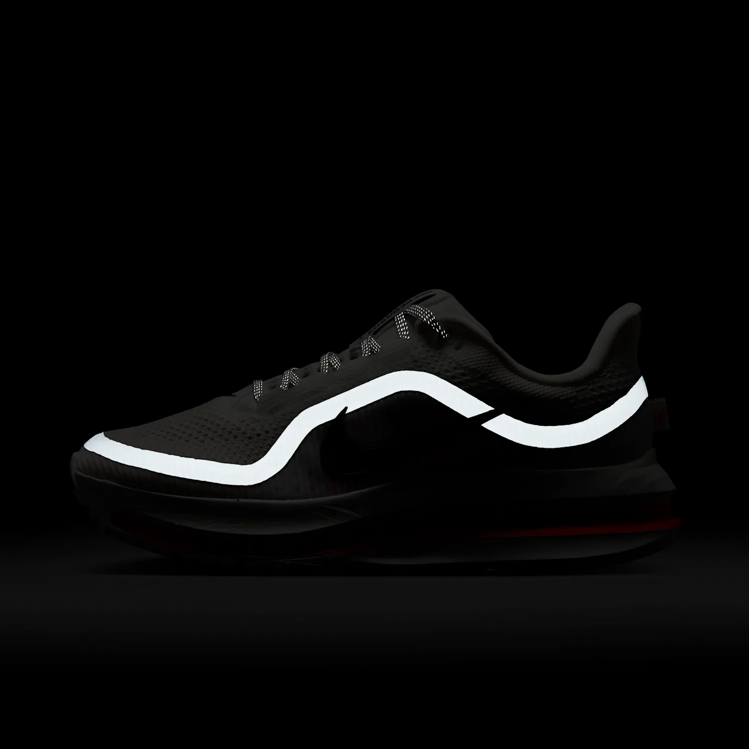 Nike Pegasus Premium image 11