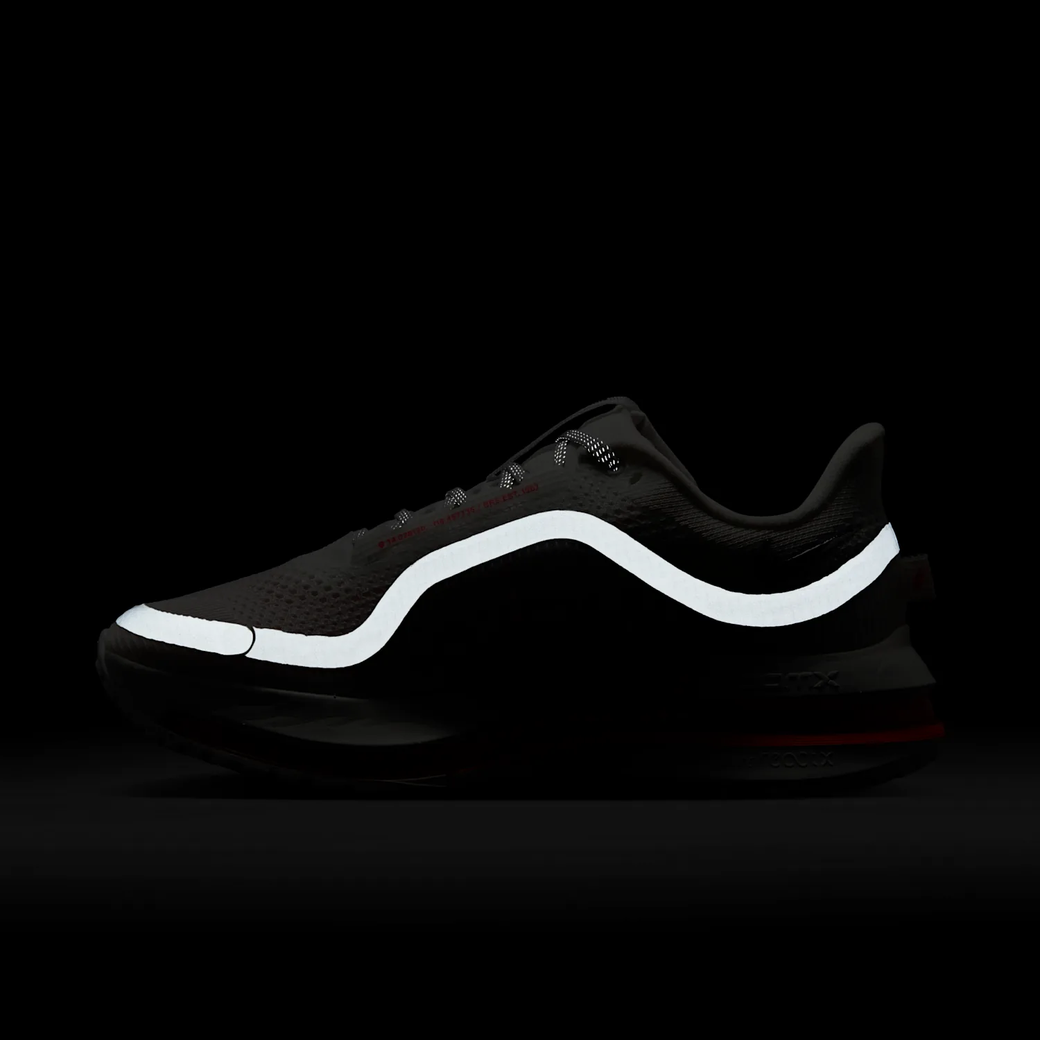 Nike Pegasus Premium image 12