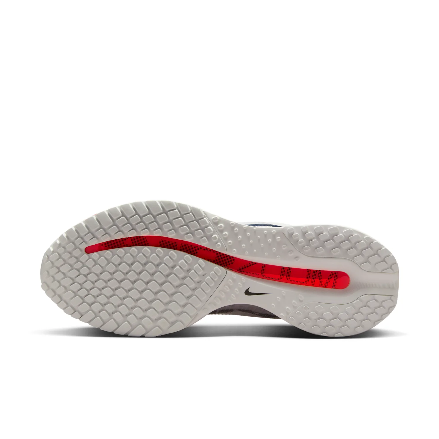 Nike Pegasus Premium image 2