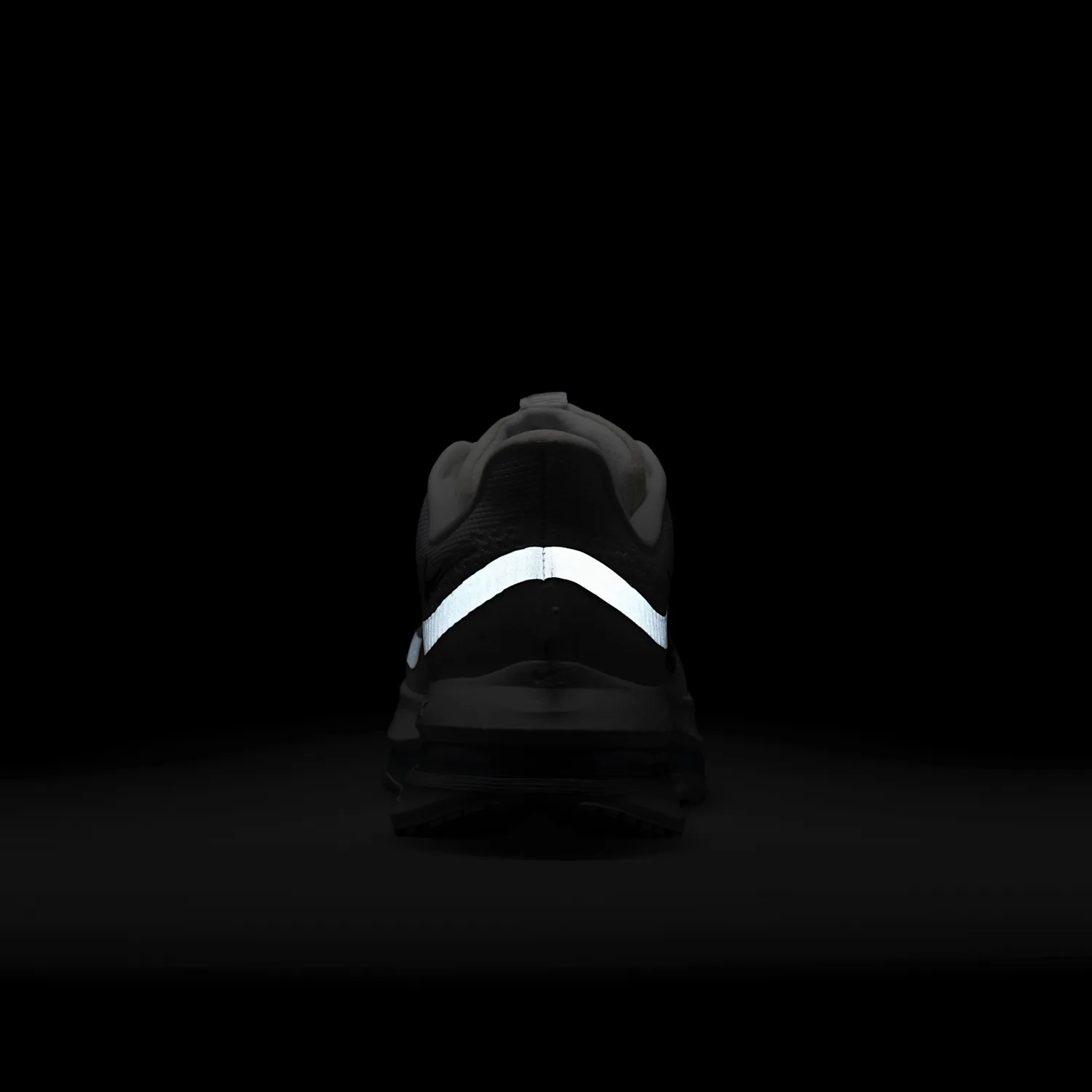 Nike Pegasus Premium image 10